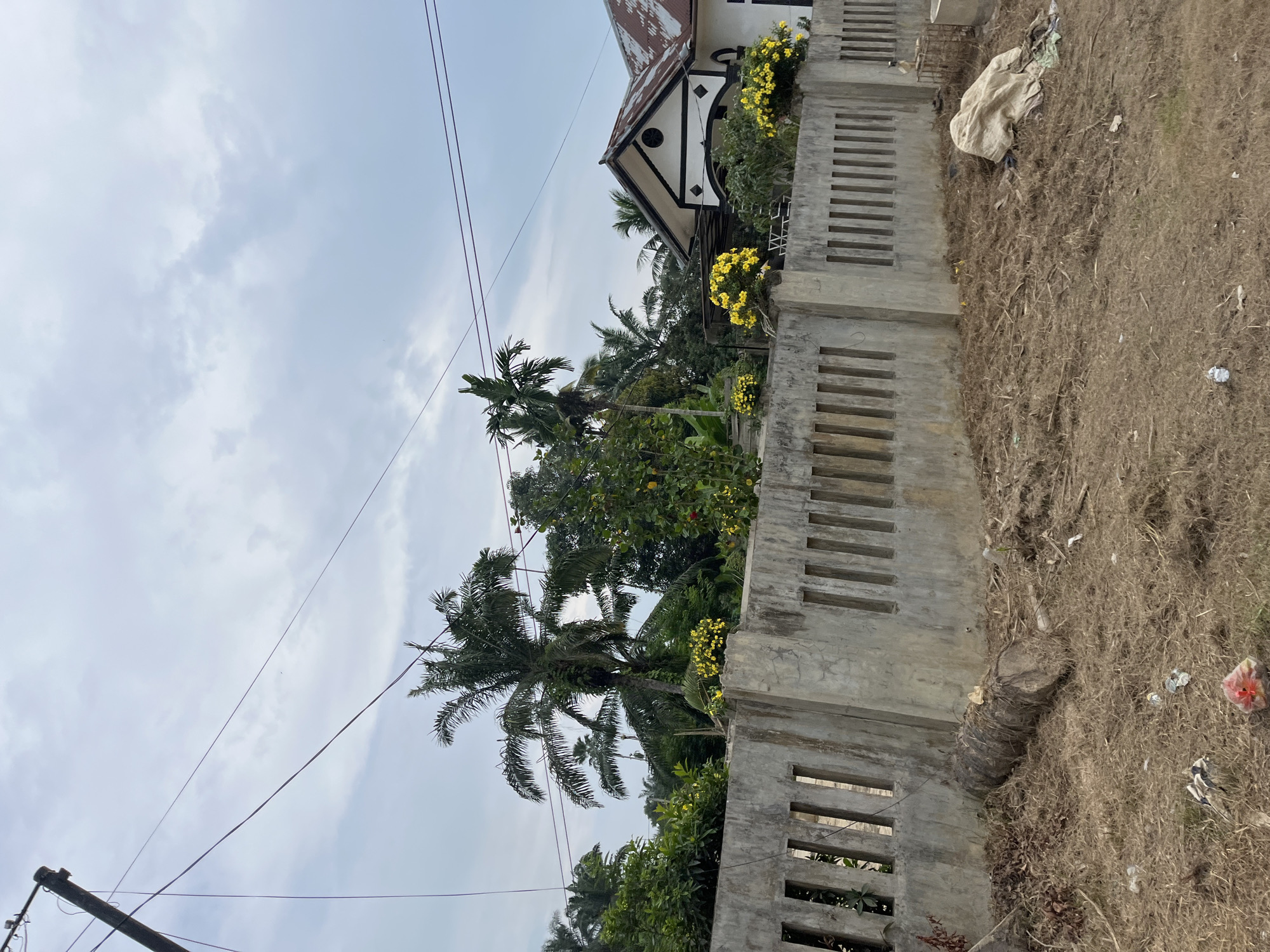 This image depicts an outdoor scene in Tanahterban, Indonesia. The foreground features a low concrete wall with a slatted design, partially obscured by dry, overgrown grass and scattered debris, including a white cloth bundle and some plastic waste. Beyond the wall, lush green foliage and palm trees are visible, suggesting a tropical or subtropical environment.
In the background, a white building with a distinctive, angular roofline painted in black and white is partially visible. The roof itself appears to be made of corrugated metal, some sections of which are rusted. Yellow flowers are blooming around the building, adding a touch of color to the scene. Overhead, a cloudy sky dominates, with power lines crisscrossing the frame, indicative of an inhabited area. The presence of utility poles further supports this.
The overall impression is one of a rural or semi-urban setting, possibly a residential area, under an overcast sky. The time of day is not definitively clear, but the diffused light suggests it is daytime. There is no discernible activity or event taking place; the image appears to be a still observation of the environment. No visible text is present in the image.