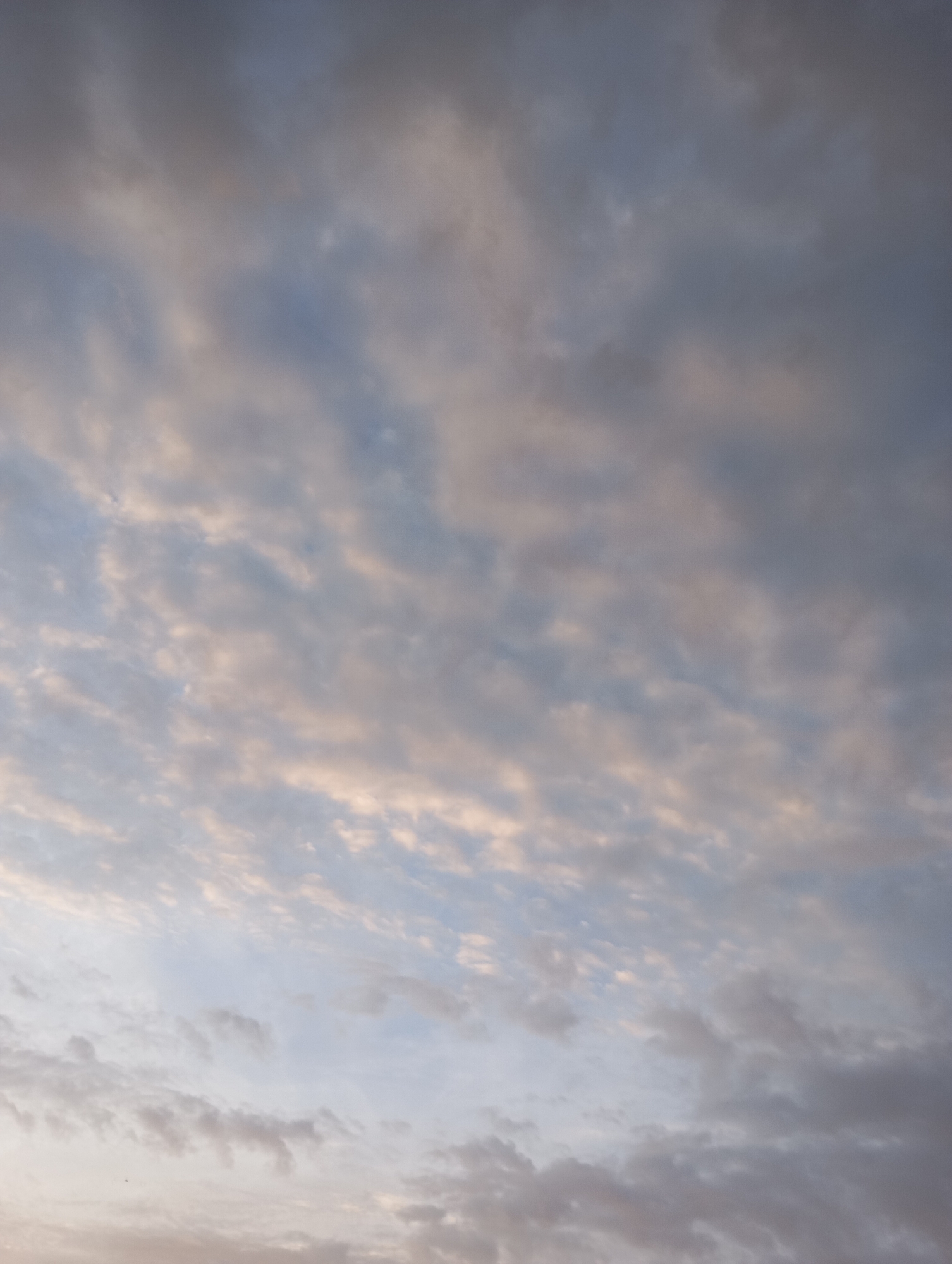 The image is a low-angle, full-frame shot of a cloudy sky. The clouds are textured and varied, with some appearing wispy and thin, allowing glimpses of pale blue sky through them. Other clouds are denser and darker, with shades of grey and hints of pinkish-orange, suggesting either dawn or dusk. The lighting is soft and diffused, characteristic of overcast or transitional light conditions. The image is devoid of any discernible landmarks, structures, or human presence, making it impossible to determine a specific location within the city of Фоки, Russia, or any other urban setting. The scene is entirely natural, focusing solely on the atmospheric conditions of the sky.