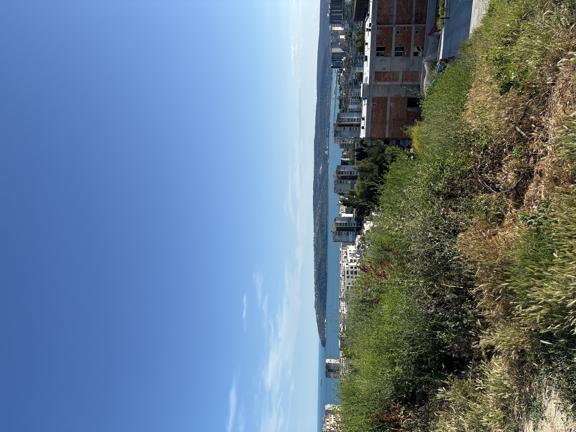The image shows an elevated view of the city of Varna, Bulgaria, overlooking the Black Sea. In the foreground, there is a grassy hillside with dry and green vegetation. Beyond the hillside, the city skyline is visible with various apartment buildings and some under construction. In the distance, the Black Sea stretches out under a clear blue sky with a few wispy clouds. A long, tree-covered peninsula or cape juts out into the sea on the far side of the bay. A few ships are visible on the water. The scene is bright and appears to be taken on a sunny day.