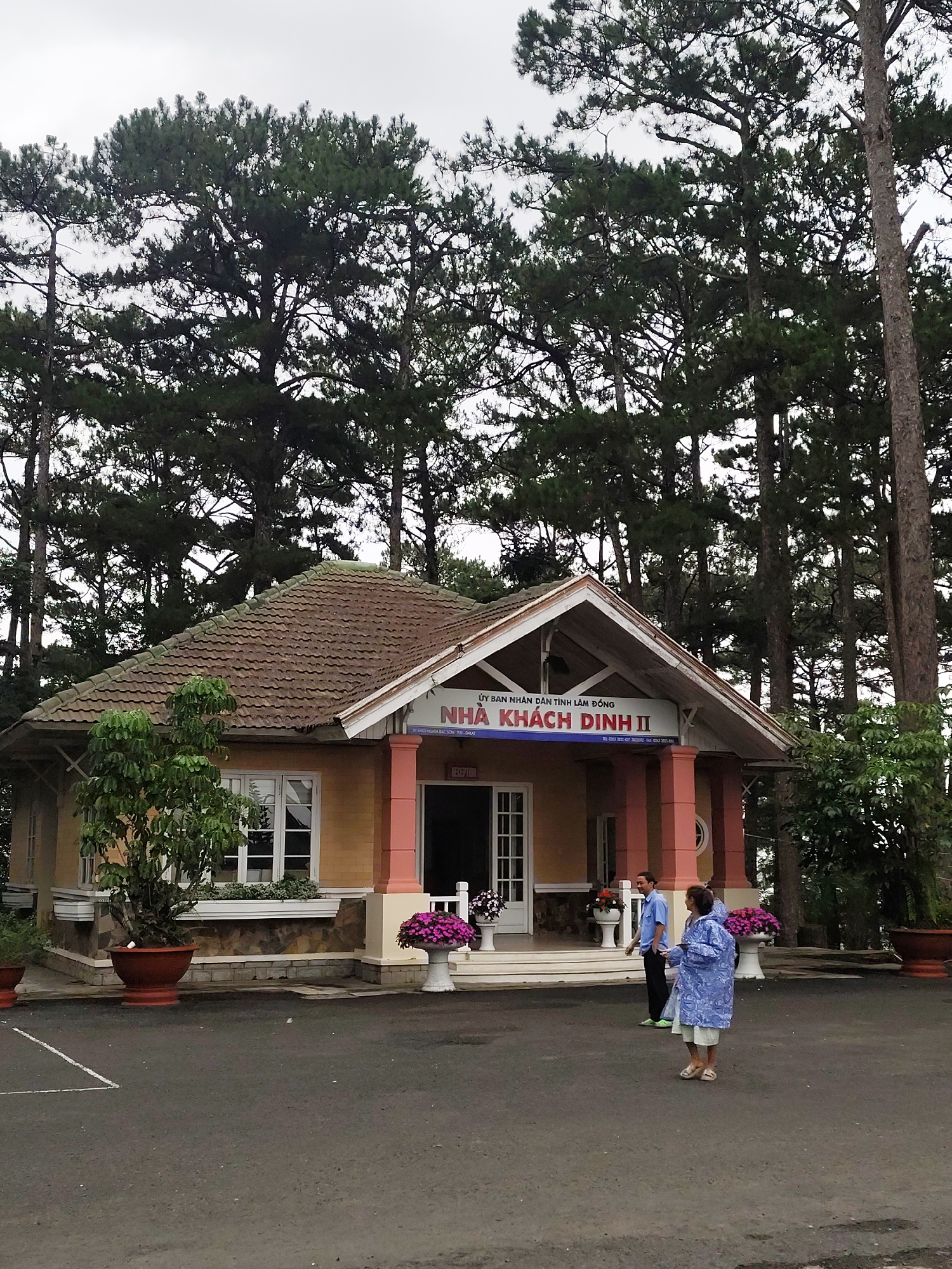 This media file presents a full view of "Nhà Khách Dinh II" (Guesthouse Dinh II) in Da Lat, Vietnam, under an overcast sky. The building, a single-story structure, features a light yellow-beige facade with a brown-tiled roof and white trim. Its entrance is marked by a portico supported by reddish-pink columns, with white-framed windows visible to the left. The background is densely packed with tall, slender pine trees, characteristic of Da Lat's forested landscape, which extend across the entire upper frame.
In the paved area in front of the building, two people are present. On the right, a person is seen wearing a light blue patterned raincoat over lighter clothing and sandals, looking towards the left. Closer to the building's entrance, a man in a light blue collared shirt and dark trousers stands facing partly towards the other individual. Their posture suggests a casual interaction or pause.
Decorative flower pots filled with purple flowers flank the entrance, and smaller green plants are arranged in window boxes. The paved ground shows faint white demarcation lines, possibly for parking.
Prominently displayed on the building's facade is a sign that reads: "ỦY BAN NHÂN DÂN TỈNH LÂM ĐỒNG" (People's Committee of Lam Dong Province), "NHÀ KHÁCH DINH II" (Guesthouse Dinh II), and "RECEPTION." Below this, "BACSON PO-DALAT" is also visible, indicating its location on Bac Son street in Da Lat. The weather appears cool and possibly damp, evidenced by the raincoat, typical of Da Lat's climate. The scene depicts a quiet moment at what appears to be an official guesthouse, set amidst a serene pine forest.