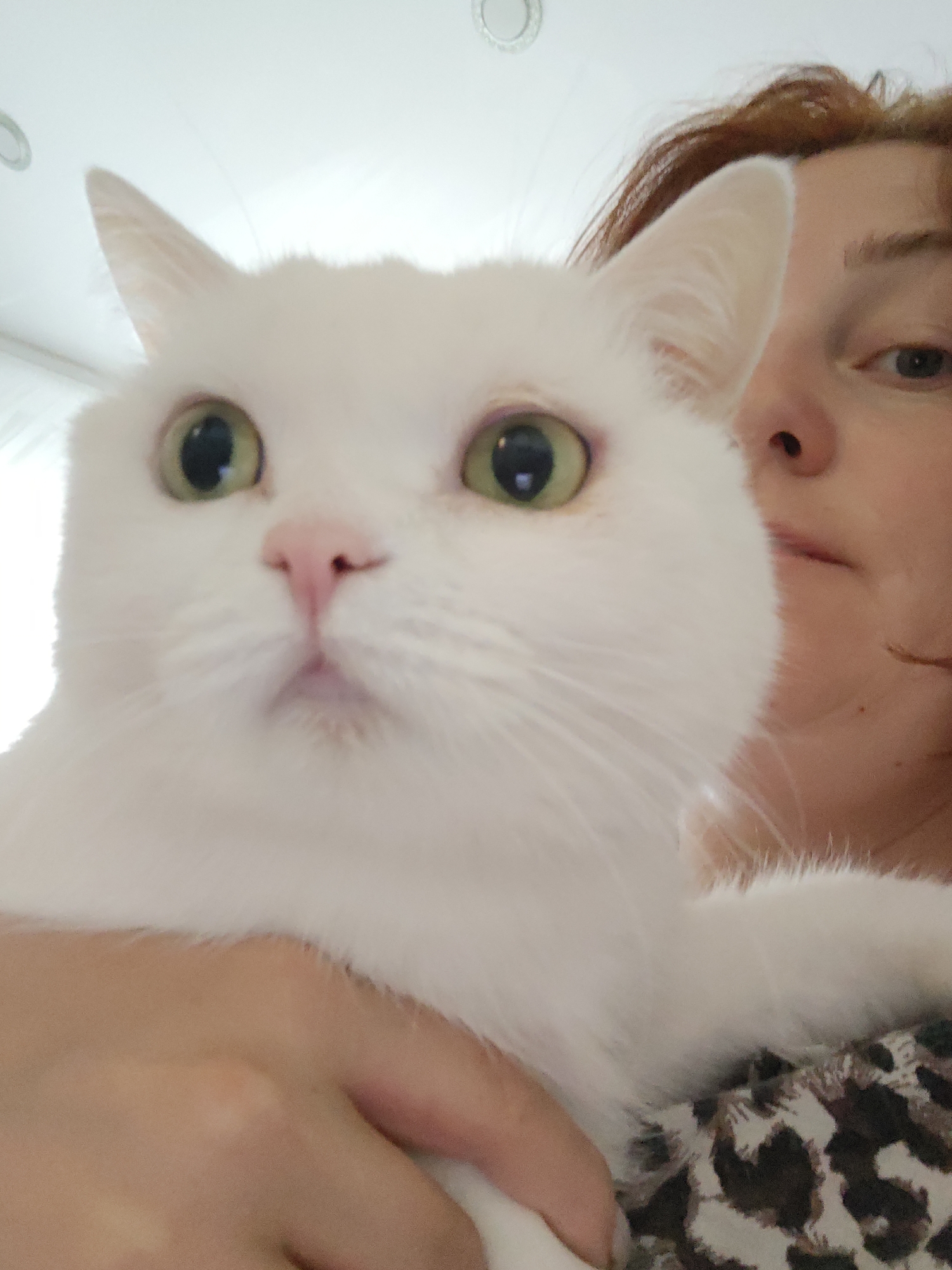 A woman with reddish hair is holding a white cat. The cat has green eyes and a pink nose. The woman is wearing a patterned shirt. The background is out of focus, but appears to be an indoor setting. There is no indication of Markovskii, Russia in the image.