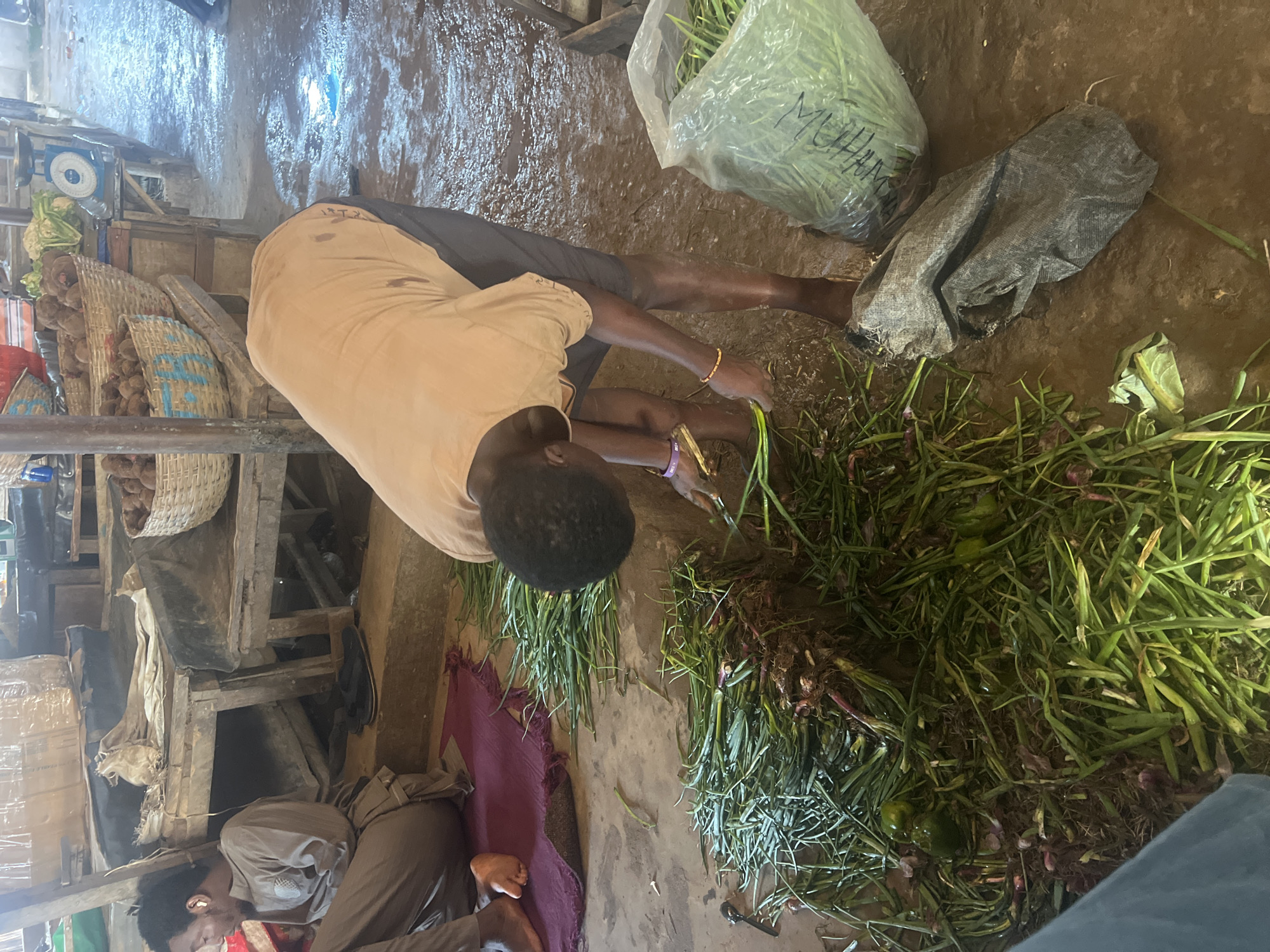 In Oko Amakom, Nigeria, a person is seen in a market environment, crouching to sort through a large pile of green vegetables, likely scallions or green onions. The vegetables are spread across the wet, muddy ground, with their roots and some soil still attached. There are also a few green bell peppers interspersed with the vegetables. A clear plastic bag filled with more of the same green vegetables is situated to the right, and a dark, woven sack lies nearby. In the background, a stall with wooden shelves displays baskets of what appear to be root vegetables. Another person is seated on a purple mat to the left, wearing a brown tunic and pants, and appears to be looking at their phone. The overall scene depicts a busy market setting with produce being prepared or sorted.