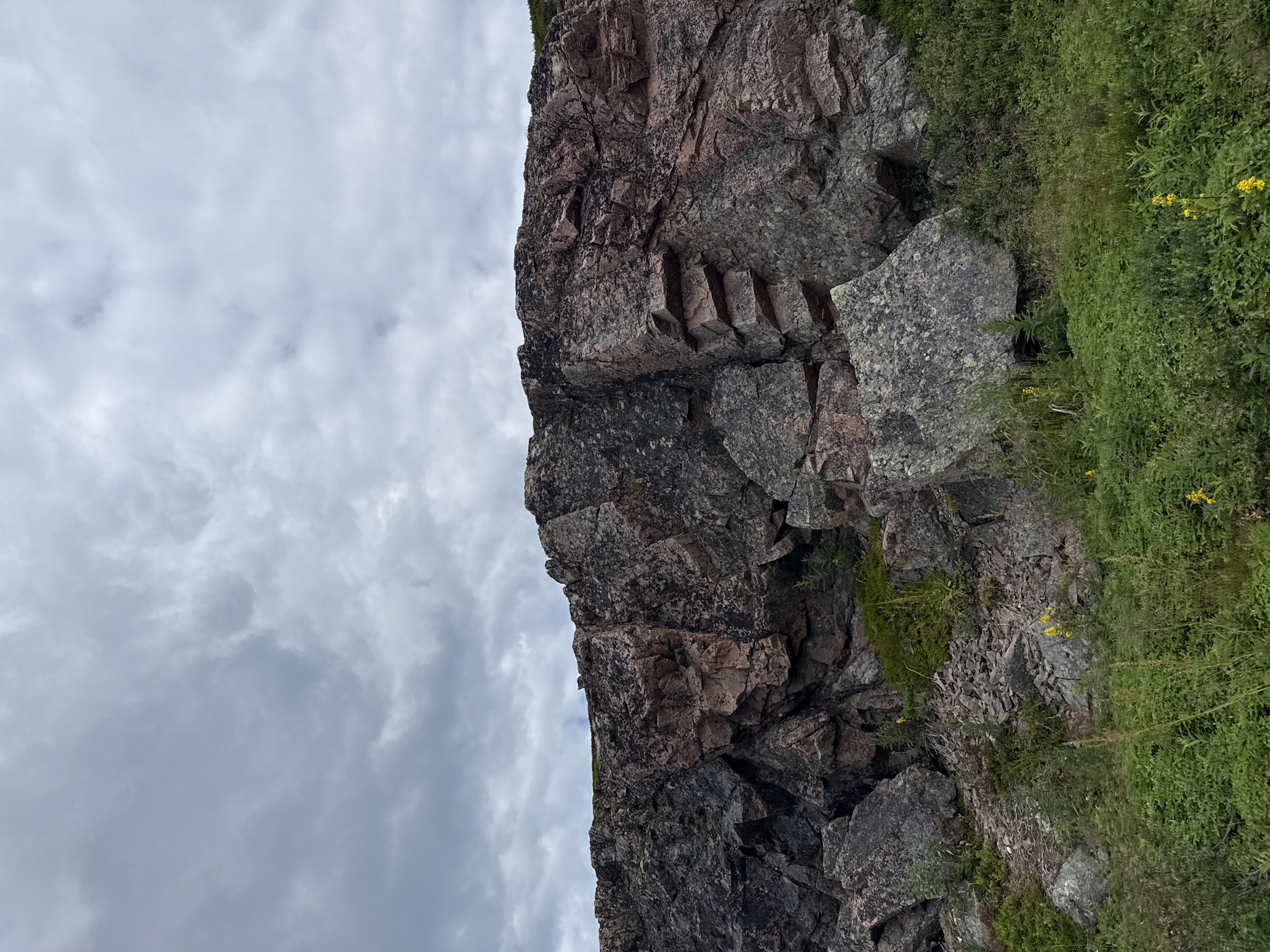 The image depicts a rocky, mountainous landscape under a cloudy sky. A large rock formation, primarily in shades of dark gray and reddish-pink, dominates the center of the frame. The rocks appear weathered and fractured, with some areas showing distinct layers and angular protrusions. At the base of the rock formation, there is dense green vegetation, including various plants and grasses, with a few small yellow flowers visible. The sky is overcast with heavy, gray clouds, suggesting a cool or potentially rainy day. The scene appears to be a natural, undeveloped area. This type of rugged coastal terrain is characteristic of the Kola Peninsula, and specifically the area around Teriberka, Russia, known for its dramatic cliffs and Arctic landscape.