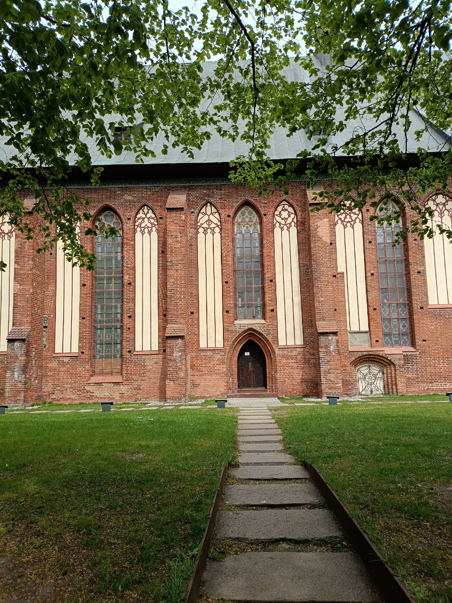 The image shows the Königsberg Cathedral, located on Kant Island in Kaliningrad, Russia. The building is constructed of red brick with tall, arched windows with light-colored trim. A path of flat stones leads from the foreground towards the front entrance of the cathedral. Green grass surrounds the path and the base of the building. Tree branches with green leaves partially obscure the top portion of the cathedral. Small black objects are spaced evenly on the ground in front of the cathedral.