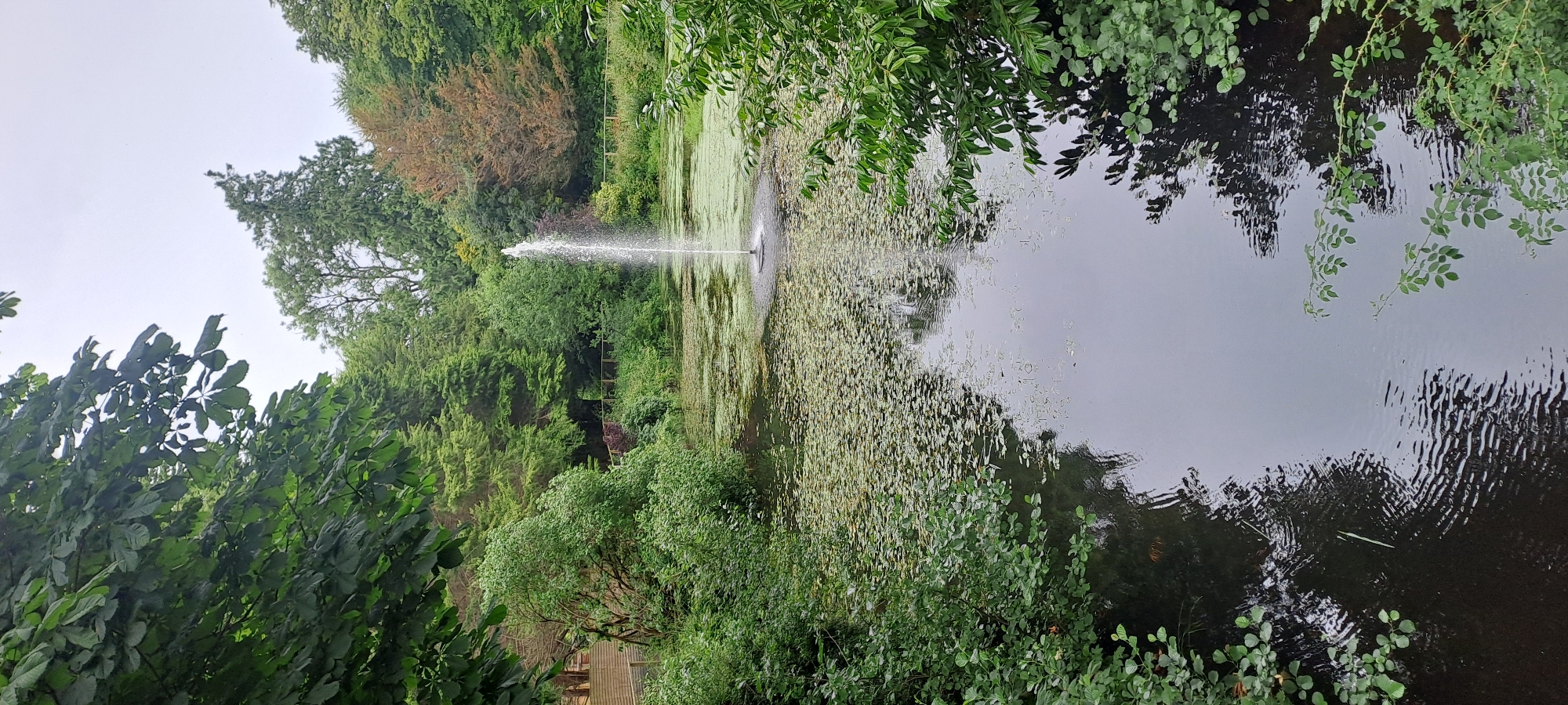 This image captures a tranquil pond at Breaffy House Resort, Ireland. A tall, thin fountain sprays water upwards in the center of the pond, which is covered with lily pads. Lush green trees and foliage surround the pond, with a wooden fence visible in the background. The sky is overcast, creating a soft, diffused light. The water's surface reflects the surrounding greenery and the sky. No people are present in the image.