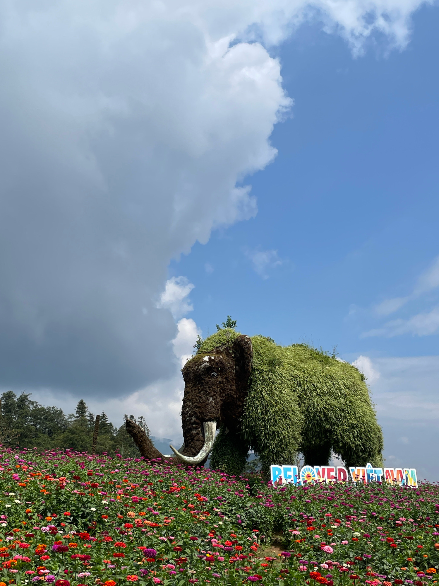 In Sa Pa Ward, Vietnam, a field of colorful flowers in vibrant hues of red, pink, purple, and orange stretches across the foreground. A large topiary sculpture of a mammoth, covered in green foliage, stands prominently in the center, its tusks made of a metallic material. Behind the mammoth, a sign reads "BELOVED VIETNAM" in large, colorful letters. The background features lush green trees and a cloudy sky with patches of blue.