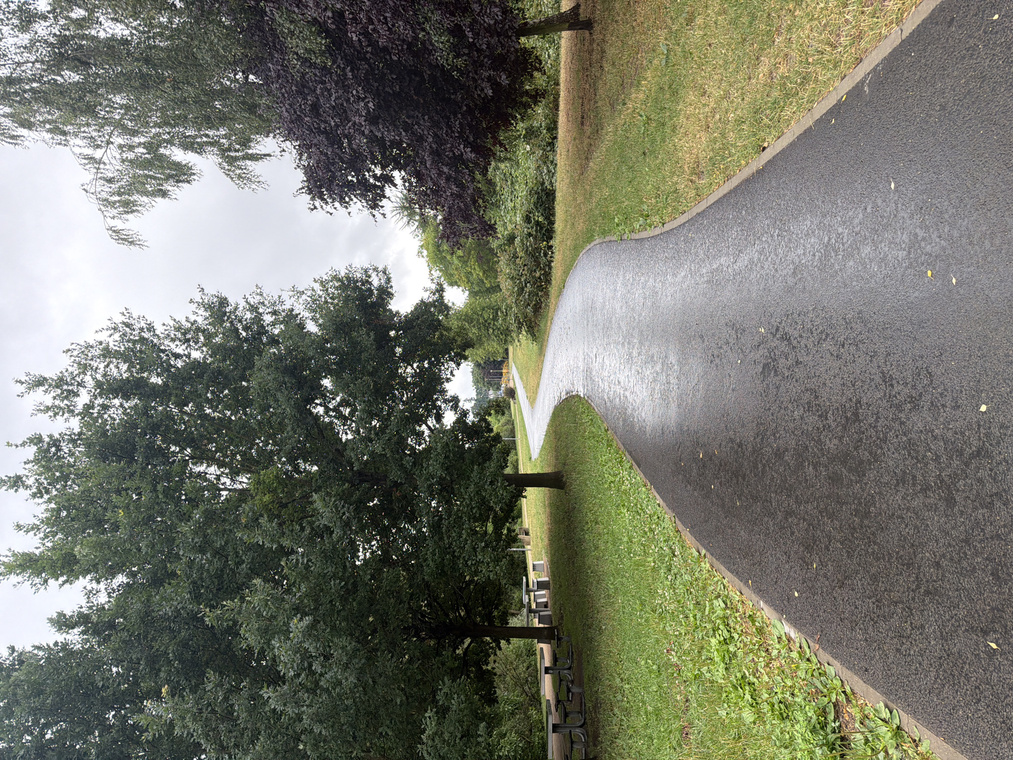 The image shows a wet, paved walking path curving through a park setting. On the left, a large, mature tree with dark green leaves dominates the foreground, casting a shadow. Further down the path, several rows of empty park benches and picnic tables are visible. Beyond the benches, more trees and dense green foliage line the path, with a few trees having dark purple leaves. The path itself is dark gray and appears damp, with small puddles reflecting the overcast sky. Yellow leaves are scattered on the path and the adjacent green grass. The sky is a uniform, dull gray, suggesting a cloudy or rainy day. The overall atmosphere is peaceful and somewhat somber due to the weather. There is no visible text in the image. The setting appears to be a public park in Szczecin, Poland.