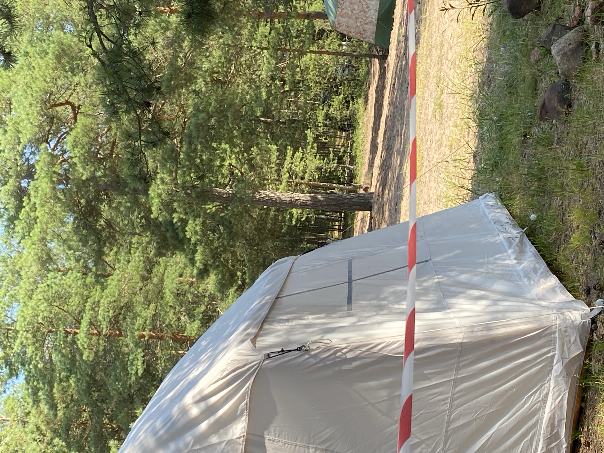 A large, light-colored tent occupies the left foreground of the image. The tent is partially obscured by a red and white striped tape stretched across it. The tent is situated on a sandy ground with patches of green grass and scattered dark rocks. Behind the tent, a dense forest of tall pine trees forms the background. The trees are lush and green, with sunlight filtering through the branches, indicating a daytime scene. Further in the background, another smaller tent with a camouflage pattern is visible. The overall environment suggests an outdoor camping or recreational area. The specific location in the city of Primorsk, Russia, cannot be definitively determined from the visual information present in the image alone.