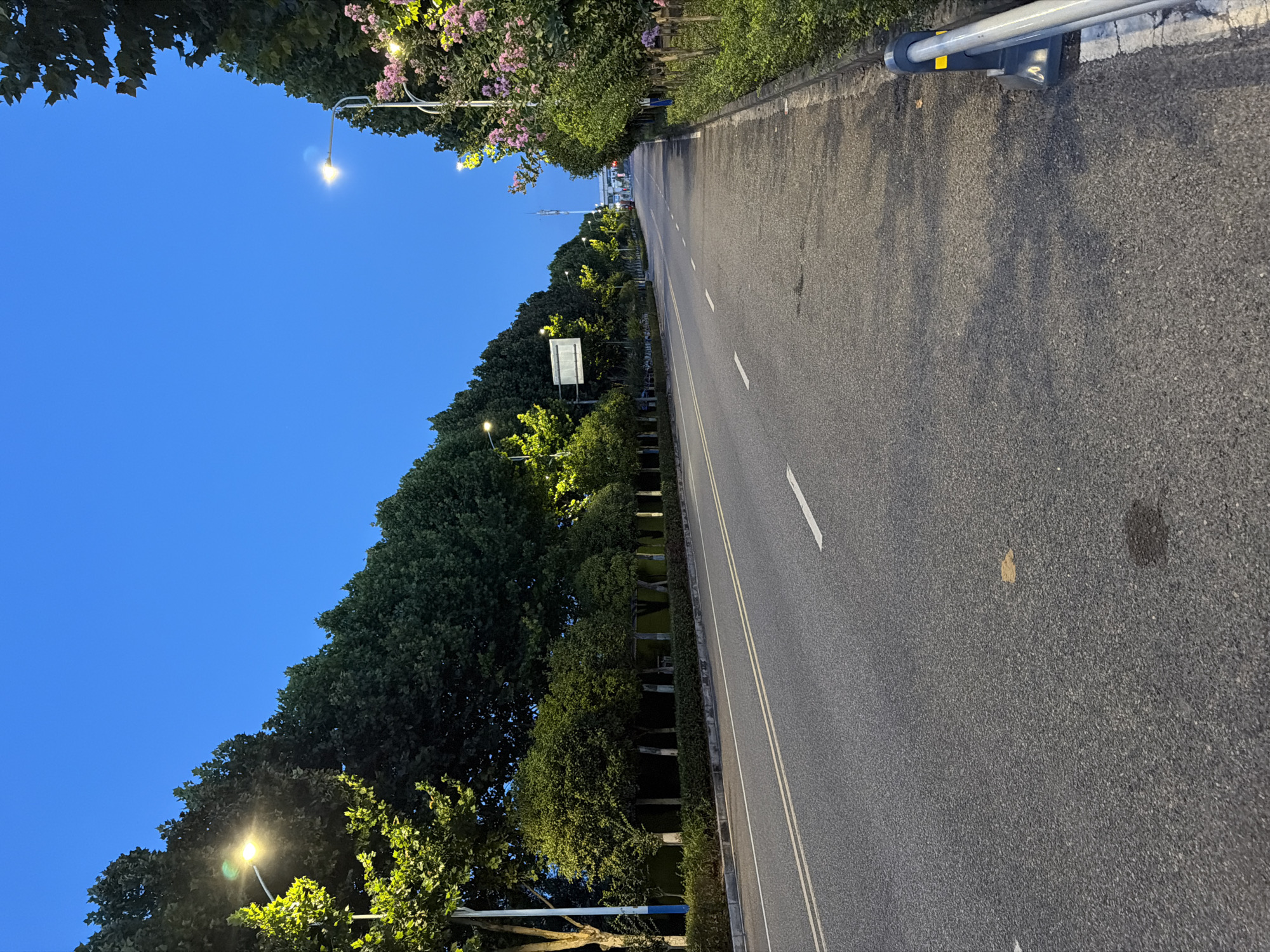 The image depicts an empty, paved road at dusk, lined with trees on both sides. Streetlights illuminate the road and the foliage, casting a warm glow. On the left, a line of evenly spaced trees with green foliage is visible, some appearing to be ornamental. On the right, a similar line of trees and shrubs is present, with some bushes displaying pink flowers. The road itself is marked with white lane dividers. In the distance, a tall structure, possibly a telecommunications tower, can be seen against the clear blue twilight sky. The overall scene suggests a well-maintained road in a suburban or park-like area. The location is identified as Jiangjin, China.
