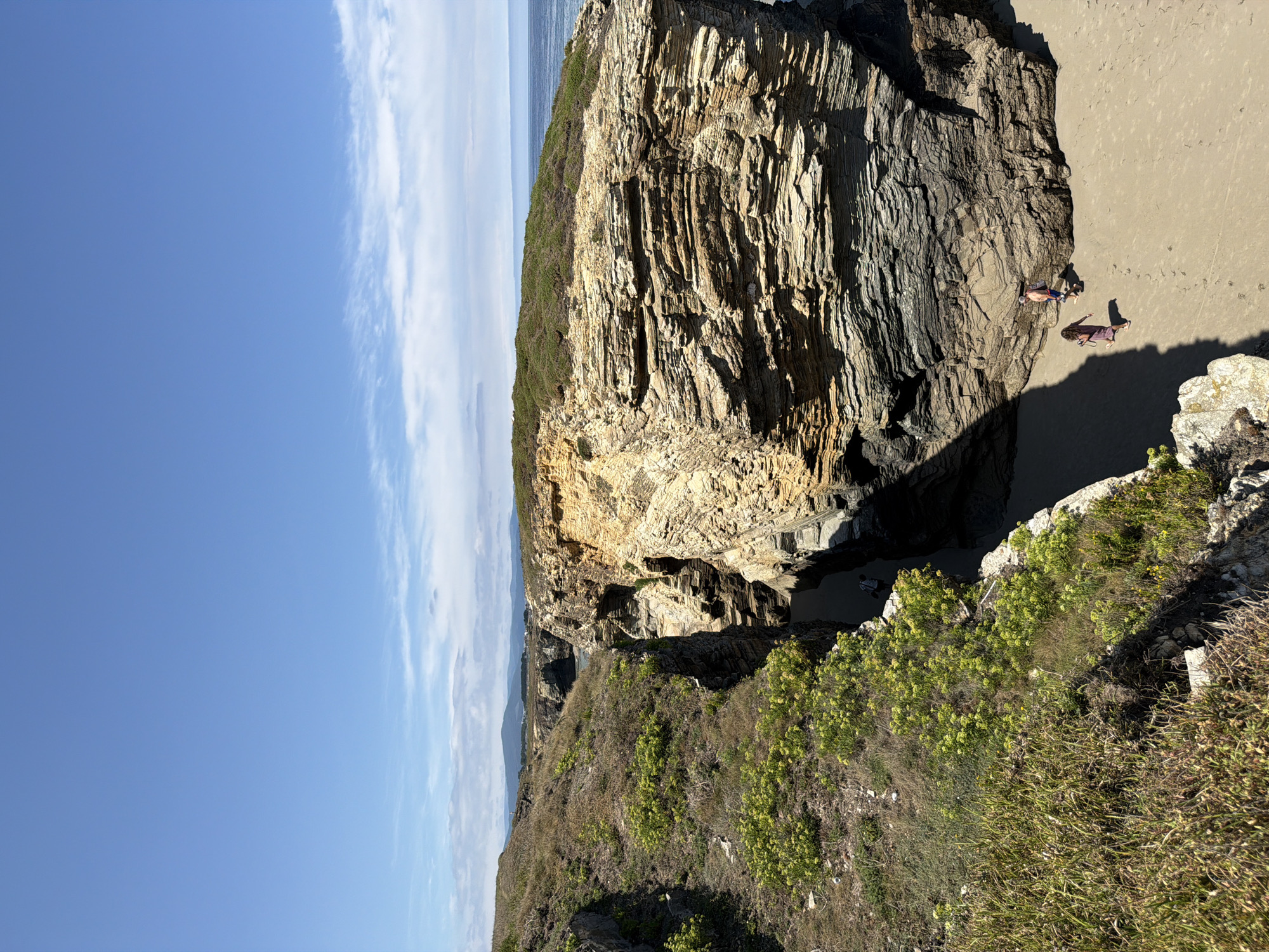 The image depicts a view of the Praia de Augas Santas, also known as the Beach of the Cathedrals, in Ribadeo, Spain. The scene is dominated by dramatic, layered rock formations characteristic of the beach, with a narrow channel of water visible between two large cliff faces. The foreground features lush green vegetation growing on a grassy cliff edge, contrasting with the sandy beach below.
Two individuals are present on the sand. One, a person wearing a pink dress and carrying a camera, is walking towards the right side of the frame. The second individual, a person in swim trunks, is walking with a small dog in the same direction. The background shows the ocean stretching out to the horizon under a bright blue sky with scattered white clouds. The rock formations are textured and multi-colored, ranging from light tan to dark gray, indicating geological stratification. The overall environment suggests a sunny day at a coastal location.