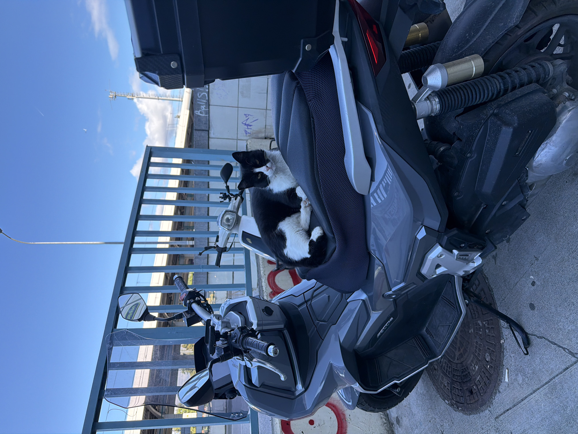 A black and white cat is resting on the seat of a parked gray scooter. The scooter has a black storage box on the back and is parked on a sidewalk next to a blue metal railing. In the background, there is a white scooter, a building with graffiti, a street light, and a clear blue sky with clouds. The image appears to have been taken in Kadıköy, Turkey.