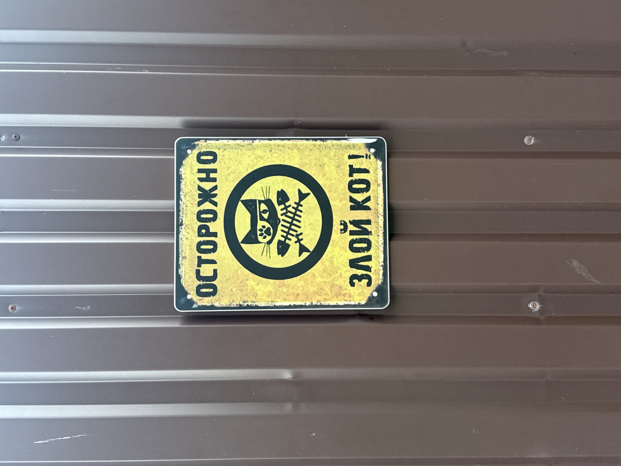 A yellow sign with a black border is affixed to a corrugated brown metal fence. The sign depicts a black cat wearing sunglasses inside a black circle. Below the cat is a fish skeleton. The Russian text on the sign reads "ОСТОРОЖНО ЗЛОЙ КОТ!" which translates to "CAUTION EVIL CAT!". The sign is attached to the fence with two visible screws at the top and two at the bottom. The fence is comprised of vertical corrugated panels. The lighting suggests it is daytime. The image was taken in Mahilyow, Belarus.
