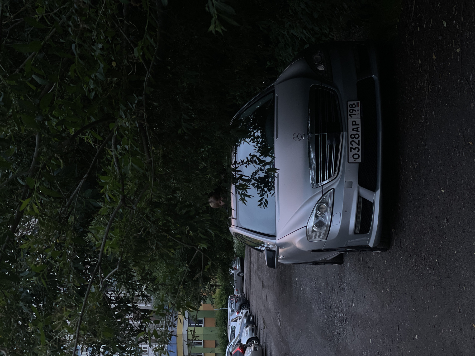 A silver Mercedes-Benz S-Class is parked on a dark asphalt surface, partially obscured by lush green foliage. The car is angled towards the viewer, with its front grille, headlights, and license plate clearly visible. The license plate reads "O328AP 198 RUS." Behind the car, a person's head and shoulders are visible peeking out from behind the leaves, appearing to be observing. In the background, a multi-story building with colorful facade elements and parked cars are visible. The scene is dimly lit, suggesting it is either early morning or late evening.