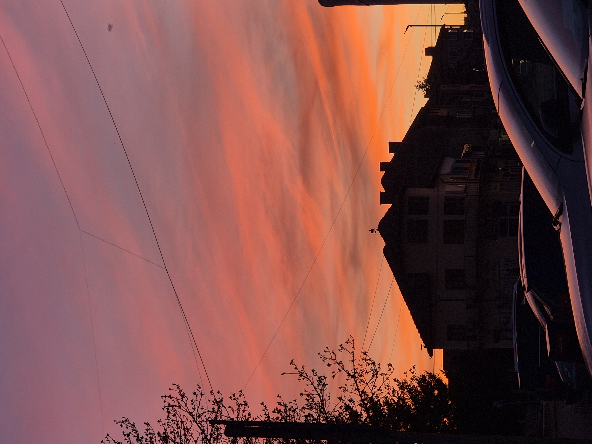 The image captures a vivid sunset in Pavlikeni, Bulgaria. The sky transitions from deep purple to fiery orange, with streaks of clouds creating a dramatic effect. Silhouetted against this colorful backdrop are buildings, bare trees, and parked cars. Power lines crisscross the sky. The composition suggests an urban environment with a mix of residential and street elements. The focus is on the sky and its interplay with the urban landscape.