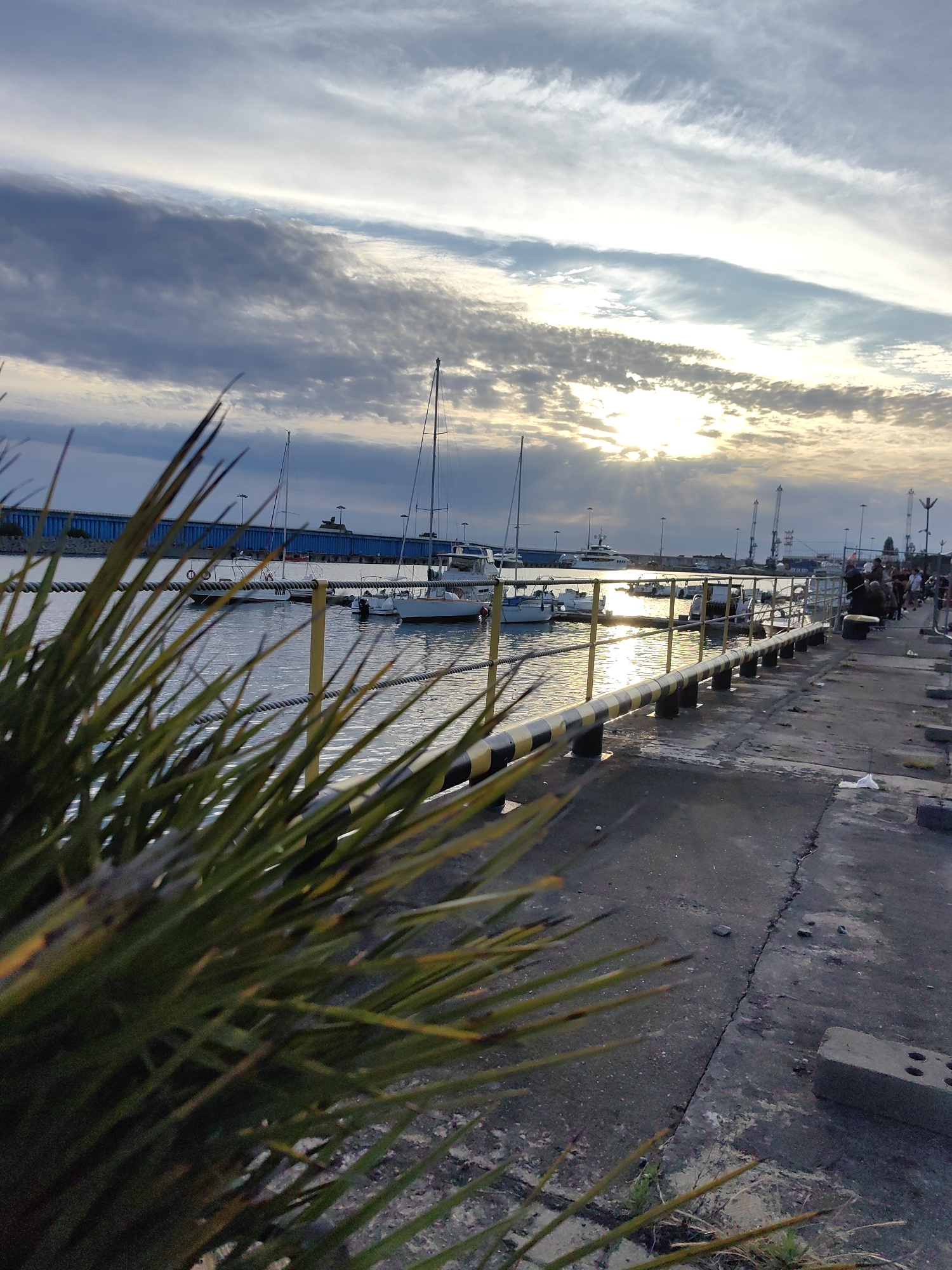 The image depicts a harbor or marina scene at either sunrise or sunset in Sirius, Russia, characterized by dramatic lighting and cloud formations. In the foreground, out-of-focus, long green and yellow blade-like foliage partially obstructs the lower left of the frame.
A concrete pier or walkway extends from the foreground towards the background on the right, featuring a distinctive black and yellow striped barrier or railing that separates it from the water. The pier shows signs of wear, with cracks and debris like a concrete block and discarded white material.
On the left, several sailboats and motorboats are docked in the calm water, their masts silhouetted against the sky. The low sun, positioned towards the upper right, casts a strong, golden reflection across the water, creating a luminous path.
In the mid-distance on the pier, a small group of people is visible, although their activities are indistinct. The background reveals industrial port elements, including a long, low blue structure, several tall cranes, and other buildings or infrastructure.
The sky is a notable feature, displaying a mix of blue, gray, and white clouds, with the sun breaking through, creating bright rays. The overall weather appears partly cloudy with warm, golden light dominating the scene. No discernible text is visible in the image.