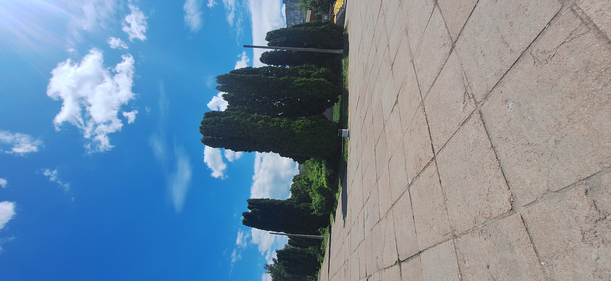 The image depicts an outdoor scene with a pathway made of light brown square tiles, stretching diagonally from the bottom right to the top left. The pathway is textured, showing signs of wear and some minor cracks. To the left of the pathway, a line of tall, dark green trees stands, forming a dense canopy. Beyond the trees, a bright blue sky is visible, dotted with fluffy white clouds, some of which are wispy and elongated, suggesting a breezy day. Sunlight is also visible on the left side of the image, casting a bright lens flare. The overall setting appears to be a park or a public space, given the presence of the tiled pathway and manicured trees. In the background, hints of buildings are visible, suggesting an urban or suburban environment. There are no people visible in the image. The time of day appears to be daytime, likely late morning or afternoon, due to the bright sunlight and clear sky. The weather seems pleasant and sunny. No text is visible in the image. The orientation of the image is such that the ground occupies the right side and the sky the left, with the trees bridging the two.