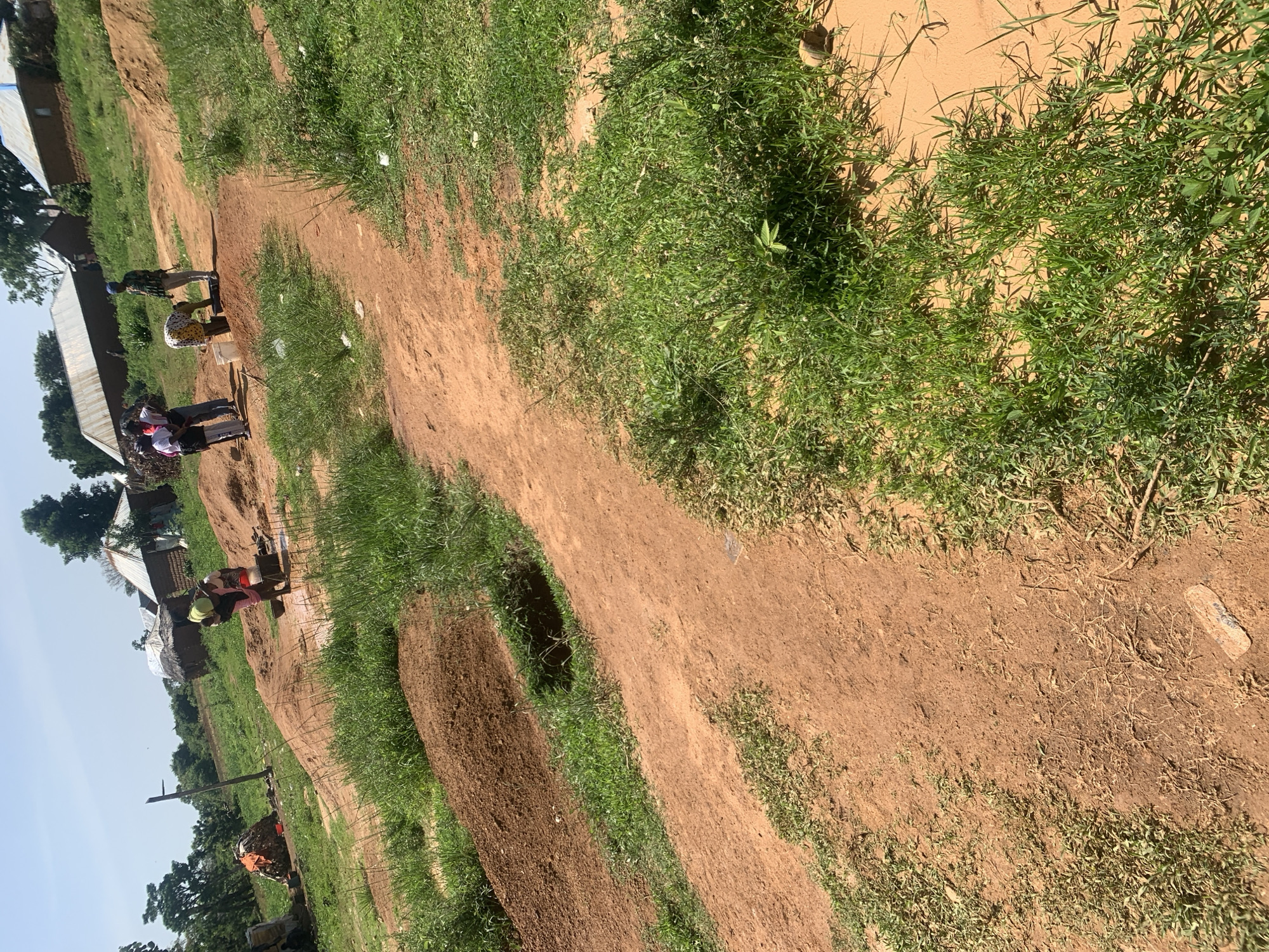 The image depicts an outdoor scene in Buga da Gindi, Nigeria, characterized by a dirt path winding through an area with scattered huts, piles of earth, and vegetation. In the middle ground, several individuals are engaged in activities around a shallow well or water source. One person, wearing a yellow head covering and pink clothing, is bent over, seemingly drawing water. Nearby, three other individuals stand or crouch, with one person in a white top and patterned skirt is also interacting with the water source. Further in the background, a cluster of traditional huts with corrugated metal and thatched roofs are visible amidst trees. The ground is predominantly red earth, with patches of green grass and scrub. To the left, a pile of what appears to be firewood or building materials is stacked near a wooden pole. The overall impression is one of daily life and resource gathering in a rural Nigerian settlement.
