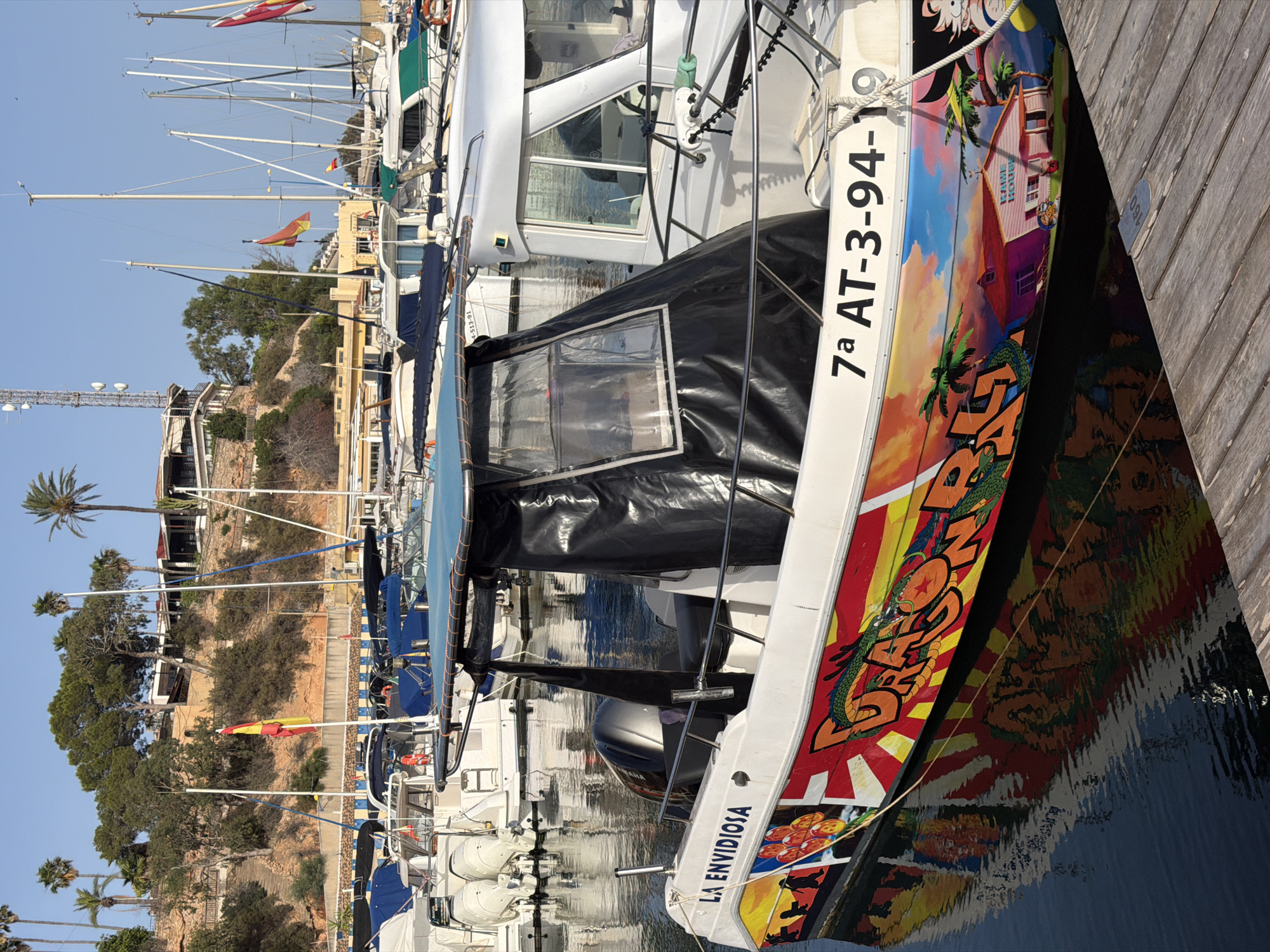 A pleasure boat named "LA ENVIDIOSA" is docked in a marina. The boat features a vibrant mural with cartoon imagery, including dragons and palm trees, and the text "DRAGON BALL". The boat's registration number is "7a AT-3-94-19". In the background, other boats and masts are visible, and a hillside with buildings and trees overlooks the marina. The water is calm, reflecting the boat and the surroundings. The sky is clear and blue, suggesting a sunny day.
