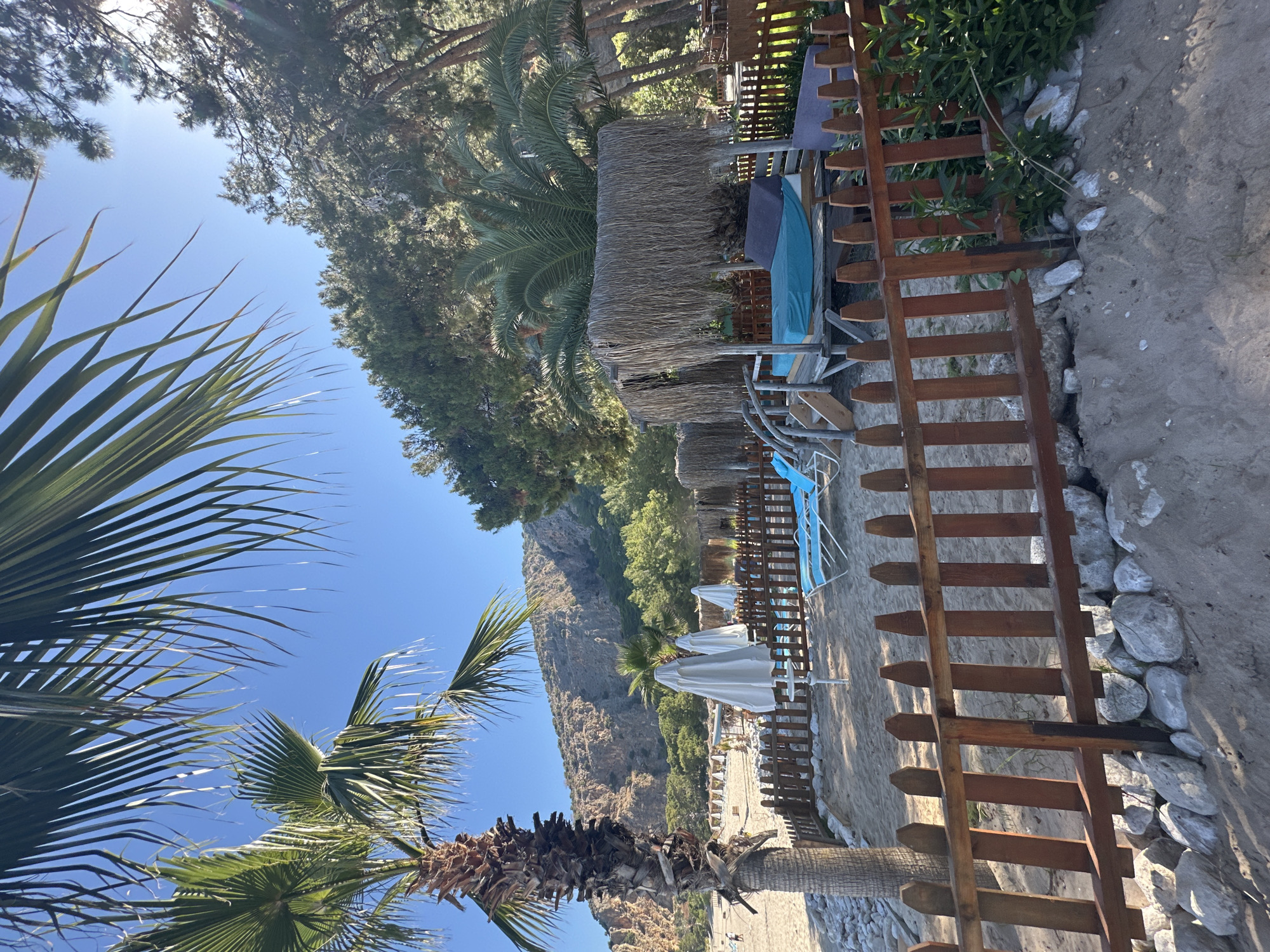 The image captures a beach scene in Fethiye, Turkey, characterized by its natural and developed elements. In the foreground, a palm tree with long, green fronds extends towards the bright blue sky, while a wooden fence runs along the sandy beach.
Behind the fence, a row of sun loungers with blue covers are lined up under straw sunshades, offering a place to relax. Further down the beach, more sun loungers are visible, some with white umbrellas providing shade.
In the background, a rugged mountain rises, covered with trees and foliage, providing a scenic backdrop to the beach. The environment suggests a tourist location, set in a natural setting, with a blend of recreation and scenic views.