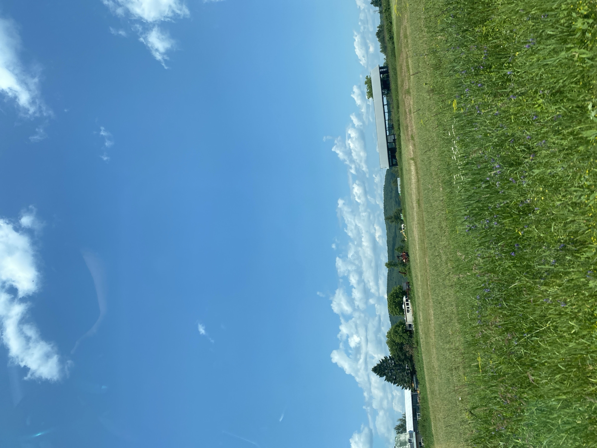 The image captures a rural landscape under a bright blue sky with scattered white clouds. In the foreground, a field of tall green grass with small purple and yellow wildflowers stretches across the frame. In the mid-ground, several farm buildings and structures are visible. To the left, a long white building with a green roof is partially obscured by a tall evergreen tree. Next to it, a white RV is parked. Further to the right, there appears to be agricultural equipment, including a red tractor and a yellow piece of machinery. In the background, rolling green hills covered in trees form the horizon. The overall scene suggests a calm, sunny day in a farming community. The location is Saint-André-Avellin, Canada.
