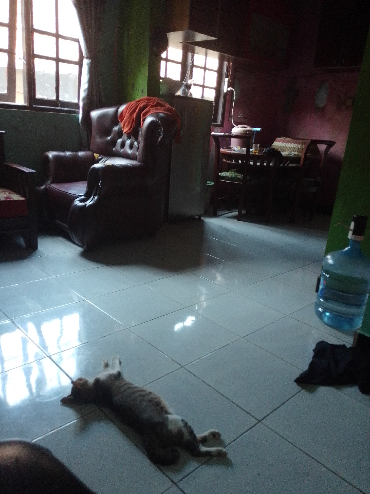The image depicts an interior scene, likely a residential living area, with a cat stretched out on a tiled floor in the foreground. The cat, a tabby with white markings, is lying on its back, appearing relaxed. The floor is light-colored and tiled. In the background, a dark leather armchair with an orange cloth draped over its back is visible. To the right of the armchair is a large blue water jug. Further into the background, a dining set with chairs and a table is partially obscured by shadows, and a refrigerator is also present. Windows with visible panes are situated on the left and in the background, allowing natural light to enter the room. The walls are painted in muted tones. The overall impression is a domestic setting, possibly in Panyingkiran, Indonesia, suggesting a casual and lived-in atmosphere.