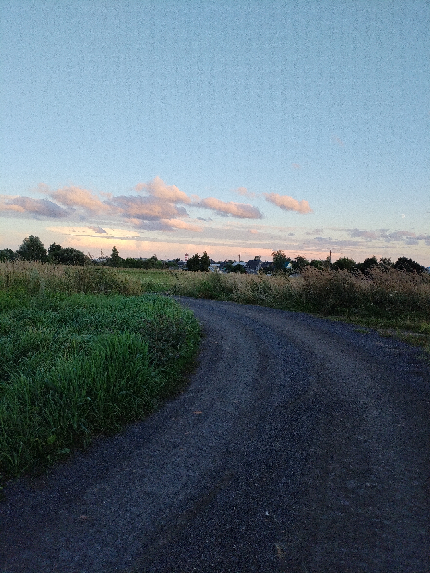 The image depicts a gravel road curving through a rural landscape in Bialynichy, Belarus. The road is dark and appears wet, suggesting recent rain. To the left of the road, a patch of tall, lush green grass is prominent, with some dry, taller grasses visible further back. The background features a line of trees and vegetation, interspersed with some distant buildings and a red and white radio tower, indicating a small settlement or village. The sky above is a pale blue with scattered pink and white clouds, hinting at either sunrise or sunset. A faint, pale moon is visible in the upper right portion of the sky. There are no people or animals present in the scene. The environment is characteristic of the Belarusian countryside during twilight.