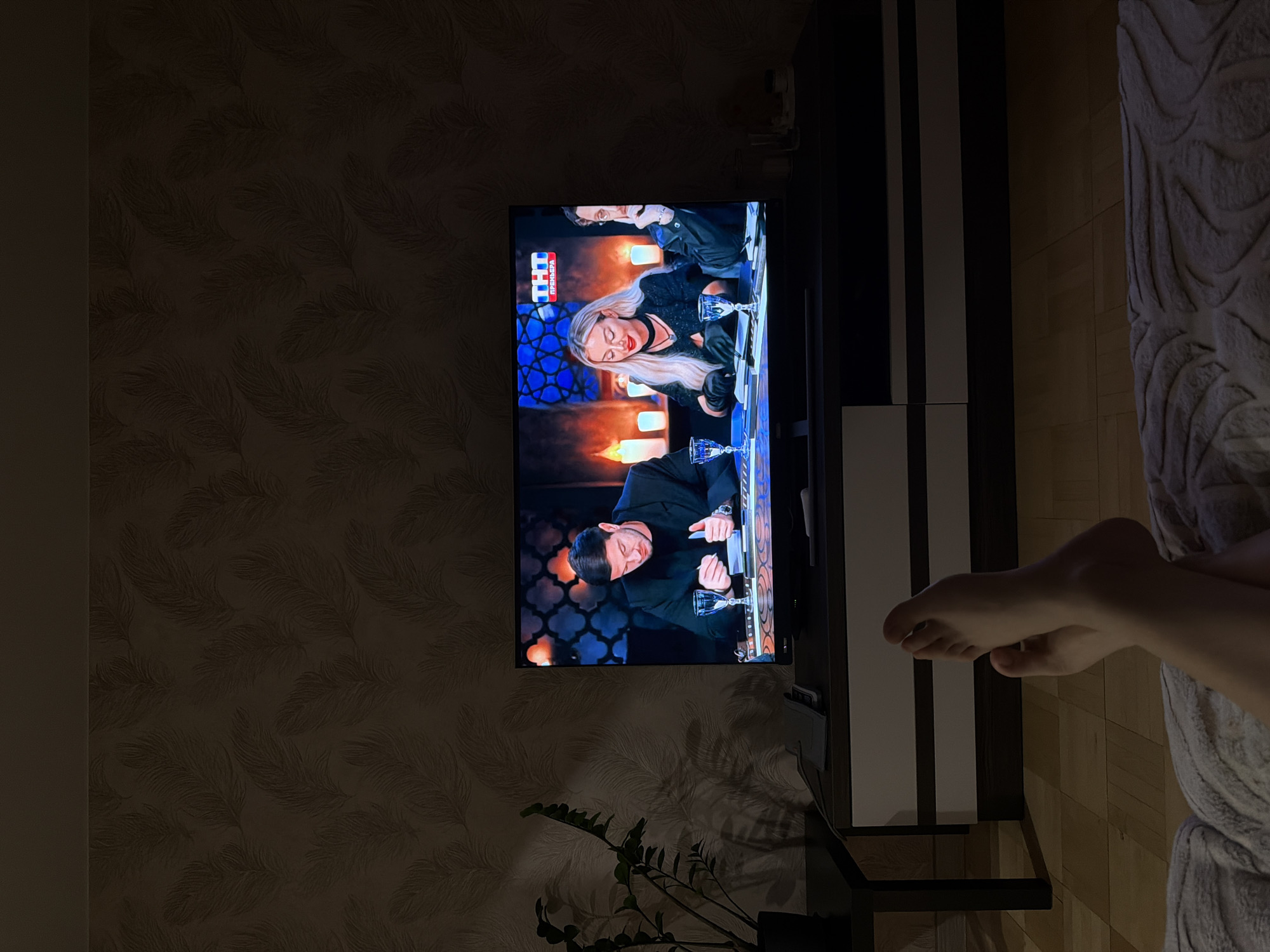 The image depicts an indoor scene, likely a living room, with a television as the focal point. The television displays a scene with three individuals seated at a table, suggesting a game show or reality program. A man in a black suit is on the left, a woman with blonde hair and dark lipstick is in the center, and a man with glasses is on the right. The background of the television screen features a geometric pattern and lit candles.
In the foreground, a person's legs and feet are visible, resting on a patterned blanket, indicating they are likely watching the television. To the left of the TV, a potted plant with green leaves is placed on a dark stand. The room is dimly lit, with the wallpaper featuring a subtle feather pattern. The furniture includes a dark TV stand with white drawers. The flooring appears to be wooden. Based on the provided context, this scene is located in Izhevsk, Russia.