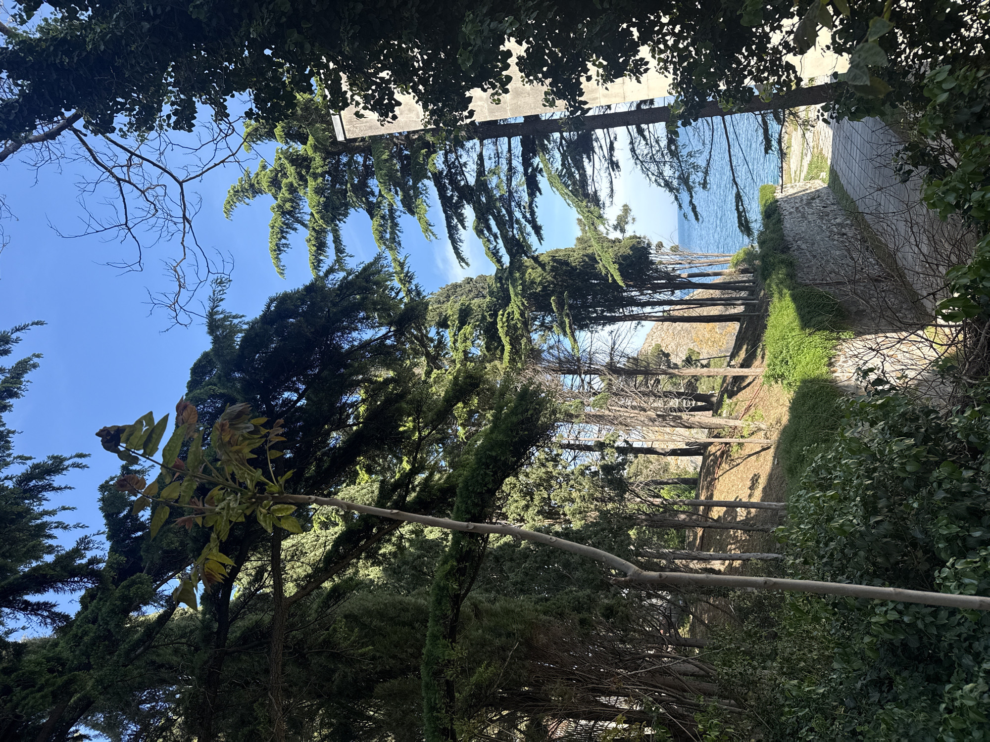 View through a wooded area, possibly a park, leading to a cliff overlooking the sea in Unknown, Unknown. The scene is framed by trees and foliage, with a path or clearing visible amidst the trees. The blue of the sky is visible above, and the blue of the sea in the distance. A stone wall borders the path on the right side. The scene appears to be taken on a bright day with clear weather.