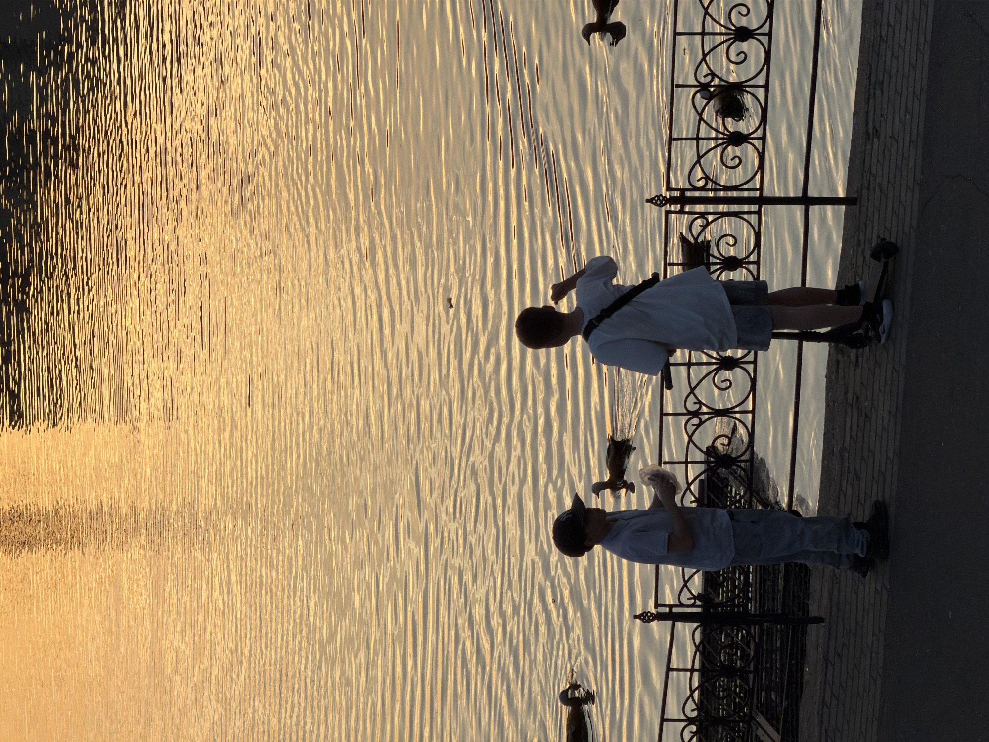 Two people stand near a lake on a stone embankment, bordered by a black metal railing. The lake's surface reflects golden light, creating rippling patterns. The people, presumably children, are wearing casual clothes and appear to be feeding waterfowl. At least two ducks are visible, one flying and one in the water. The image is shot with strong light and shadow. The location is Golyansky Pond in Moscow, Russia.