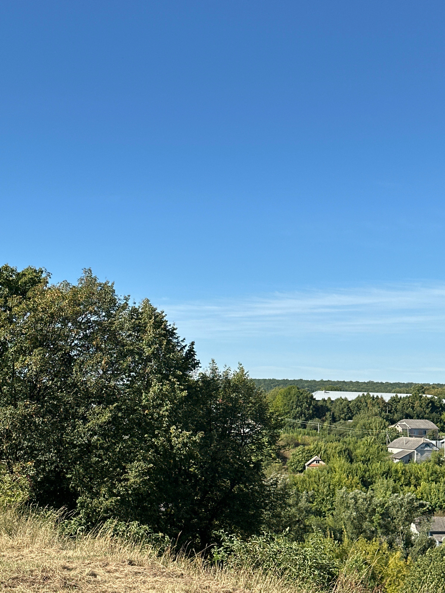 The image is a landscape view overlooking a rural area with scattered houses and dense greenery under a clear blue sky. In the foreground, there is a patch of dry, light brown grass on a slight incline, with a large, leafy green tree dominating the left side of the frame. The middle ground features rolling hills covered in various shades of green trees, with several houses visible among them. One small house with a red roof and a visible window is nestled deeper within the foliage. In the background, more trees form a dense line, and a large, white-roofed structure, possibly a warehouse or industrial building, is partially visible. The sky is a vibrant, cloudless blue, with very faint, wispy white clouds near the horizon. This scene is characteristic of the outskirts of Makiv, Ukraine, a location known for its rural landscapes and agricultural surroundings. No people or animals are visible in the image.