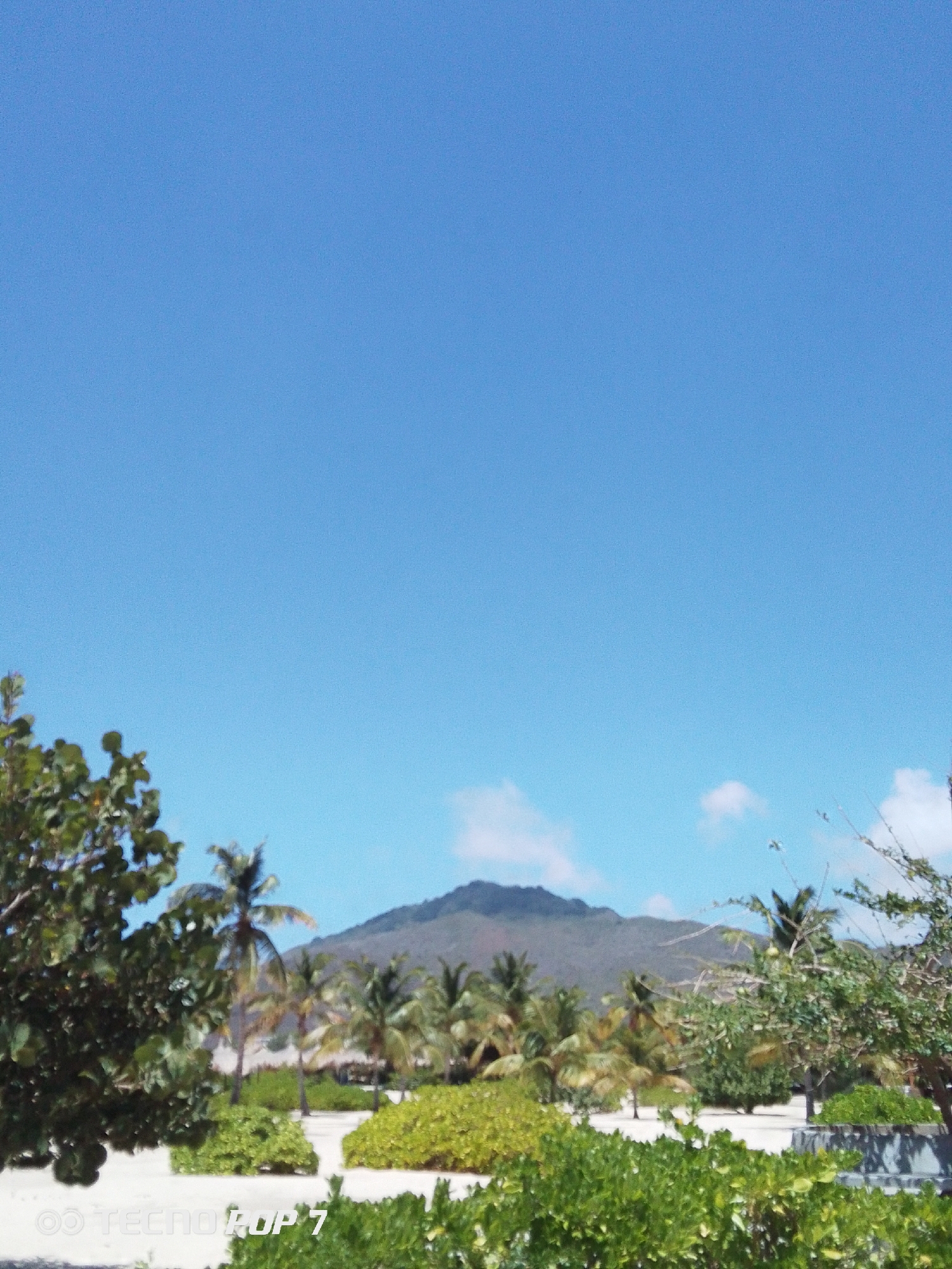 The image captures a view in Pedro González, Venezuela, featuring a clear blue sky dominating the frame. In the lower portion of the image, lush green vegetation and palm trees are visible. In the mid-ground, a mountain rises against the backdrop of the sky. Sand is visible beneath the vegetation, suggesting a beach or coastal environment. The lower left corner of the image contains the text "OO TECNO POP 7".
