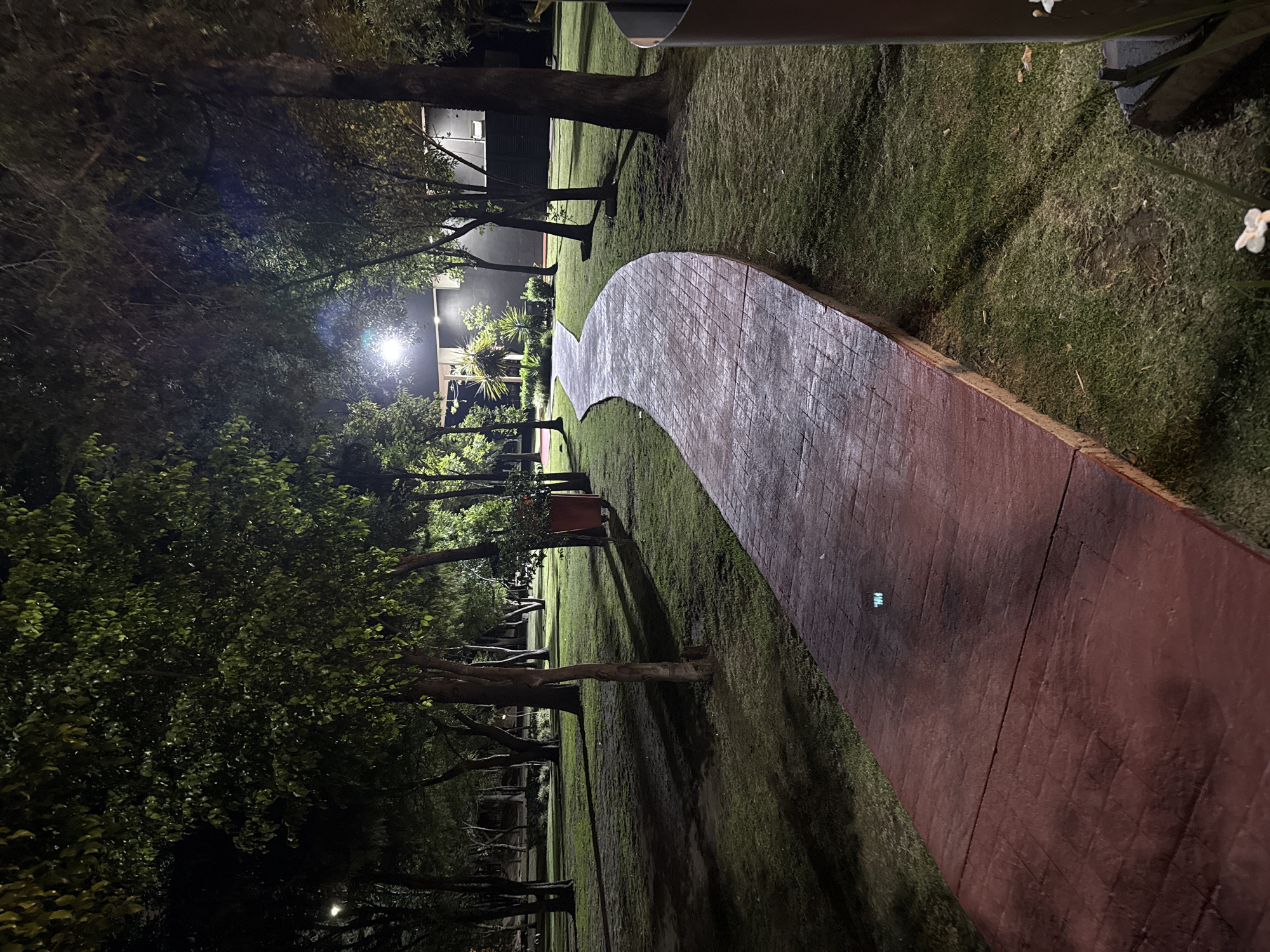 A nighttime view of a park in Puebla, Mexico, featuring a winding, maroon-colored, brick-laid path leading towards a building illuminated by streetlights. Trees line both sides of the path, casting shadows on the green grass. The scene suggests a serene and quiet atmosphere.