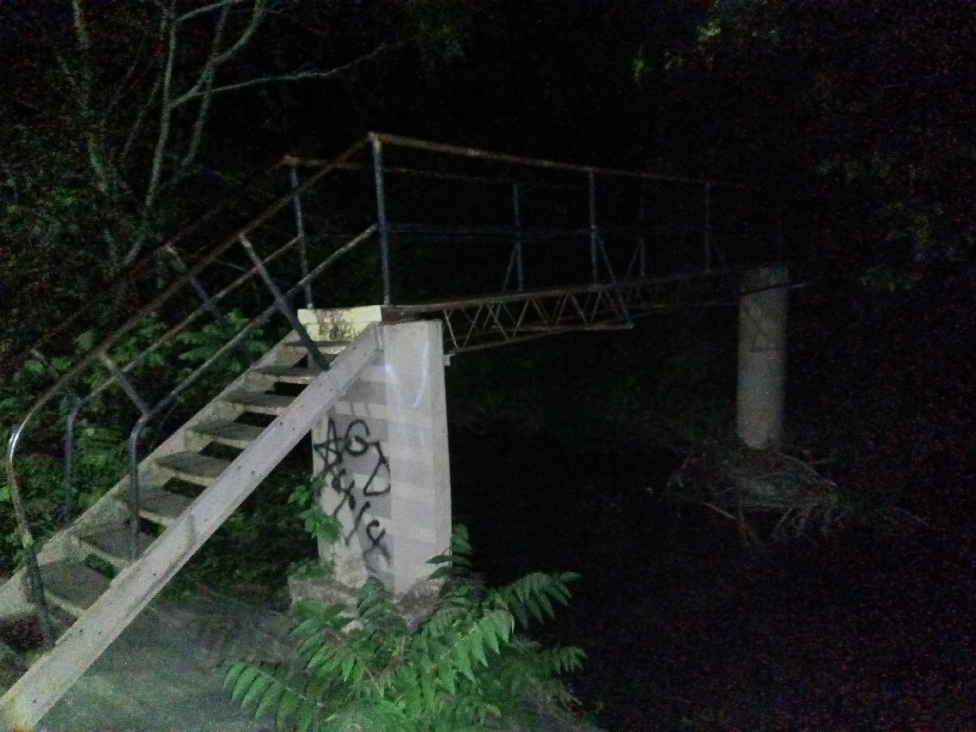 The image depicts a deteriorated bridge at night in Tahlequah, Oklahoma, United States of America. The bridge structure features a metal railing and a wooden staircase leading to the elevated walkway. Concrete supports, marred with graffiti, uphold the bridge. Vegetation is visible around the base of the bridge supports, while dense foliage surrounds the scene, obscuring the background in darkness. There are no people visible in the image.