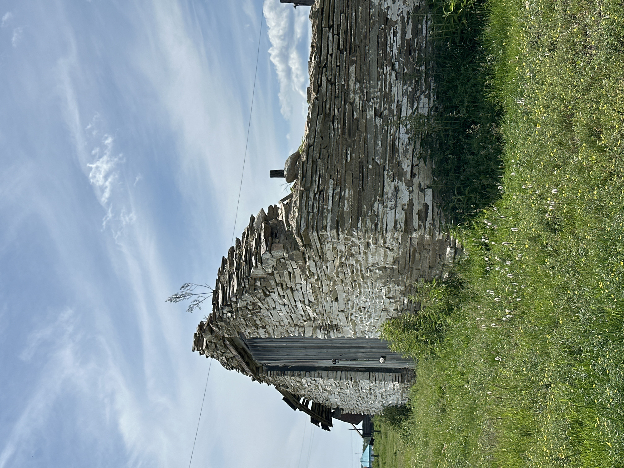 A medium-shot, full-color, eye-level, outdoor photograph captures a dilapidated stone building with a wooden door on a sunny day. The building's stone walls are constructed of flat, irregular-shaped stones, some of which have peeled white paint. The roof is partially collapsed and appears to be made of the same stone material. A single, thin tree branch sprouts from the peak of the roof. The building stands in a field of tall, green grass with scattered small white and yellow wildflowers. In the background, a power line stretches across the sky, and a small, light blue building is visible in the distance. The sky is a bright blue with wispy white clouds. The overall scene suggests an abandoned or neglected structure in a rural or semi-rural setting.