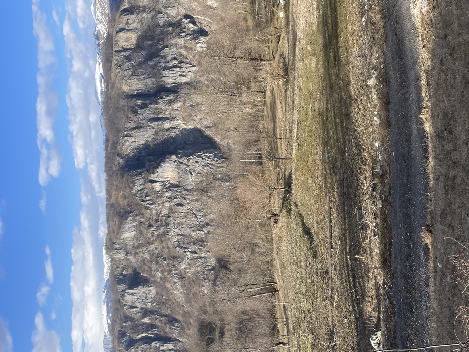 The image displays a panoramic view of a mountainous, rural landscape in Mokro, Montenegro, under a bright blue sky dotted with scattered white cumulus clouds. The scene is illuminated by sunlight, evidenced by shadows cast from left to right.
In the immediate foreground, a dark gray-black gravel or dirt path runs horizontally across the bottom third of the frame. Above this path, an uneven, dry grassy slope extends upwards, characterized by brown and yellowish patches of vegetation and scattered small debris. A single horizontal dark brown log or beam rests on this slope.
The midground consists of a gently rising field covered in sparse, dry grass and numerous leafless deciduous trees of varying sizes. A prominent, bare tree with a rounded canopy stands towards the left-center of this field. Further back, a denser cluster of leafless trees forms a small woodland at the base of the background mountain. An indistinct, dark mass is partially visible within this denser tree cluster.
The background is dominated by a massive, steep, gray and brown rocky mountain face, exhibiting vertical fissures and sparse vegetation on its lower slopes. Above this rocky formation, a ridge line of bare trees is visible. Beyond this, distant mountain peaks are present, partially covered with white snow.