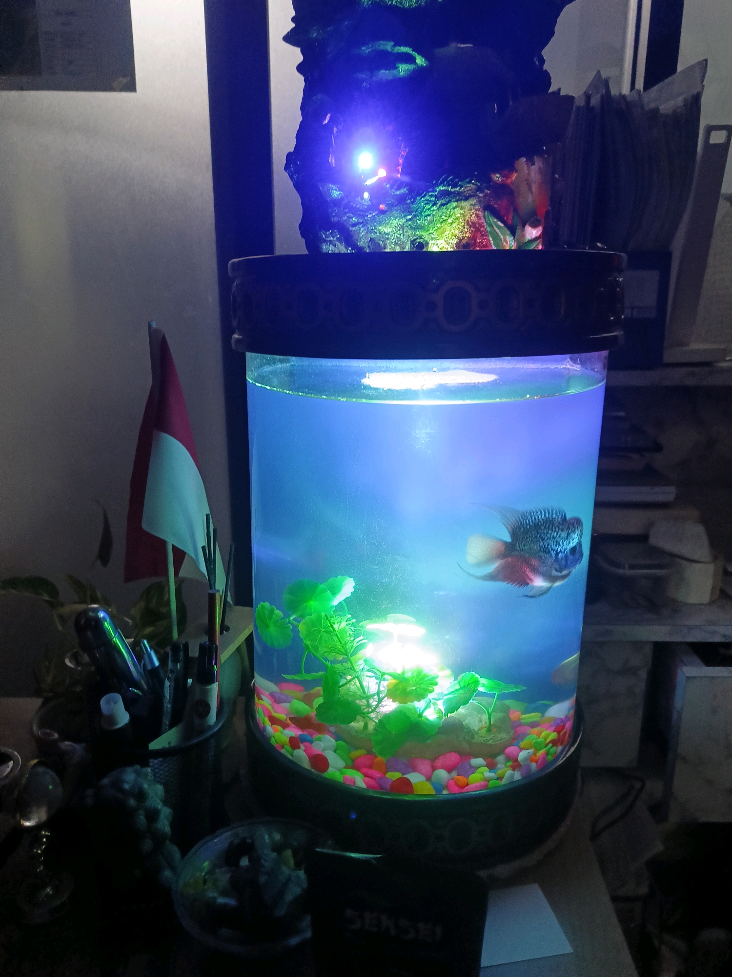 An indoor, low-light scene features a cylindrical aquarium with blue-tinted water, containing one fish. The aquarium is illuminated from above by a multi-colored light source. Inside the tank are green artificial plants and small, colorful gravel. A small Indonesian flag on a white pole stands to the left of the aquarium, planted in a pen holder filled with various writing instruments. Other objects visible include a stack of papers and a decorative item on top of the aquarium, also illuminated by blue light. The setting appears to be a desk or workspace within a residential or office environment in Tangerang, Indonesia.