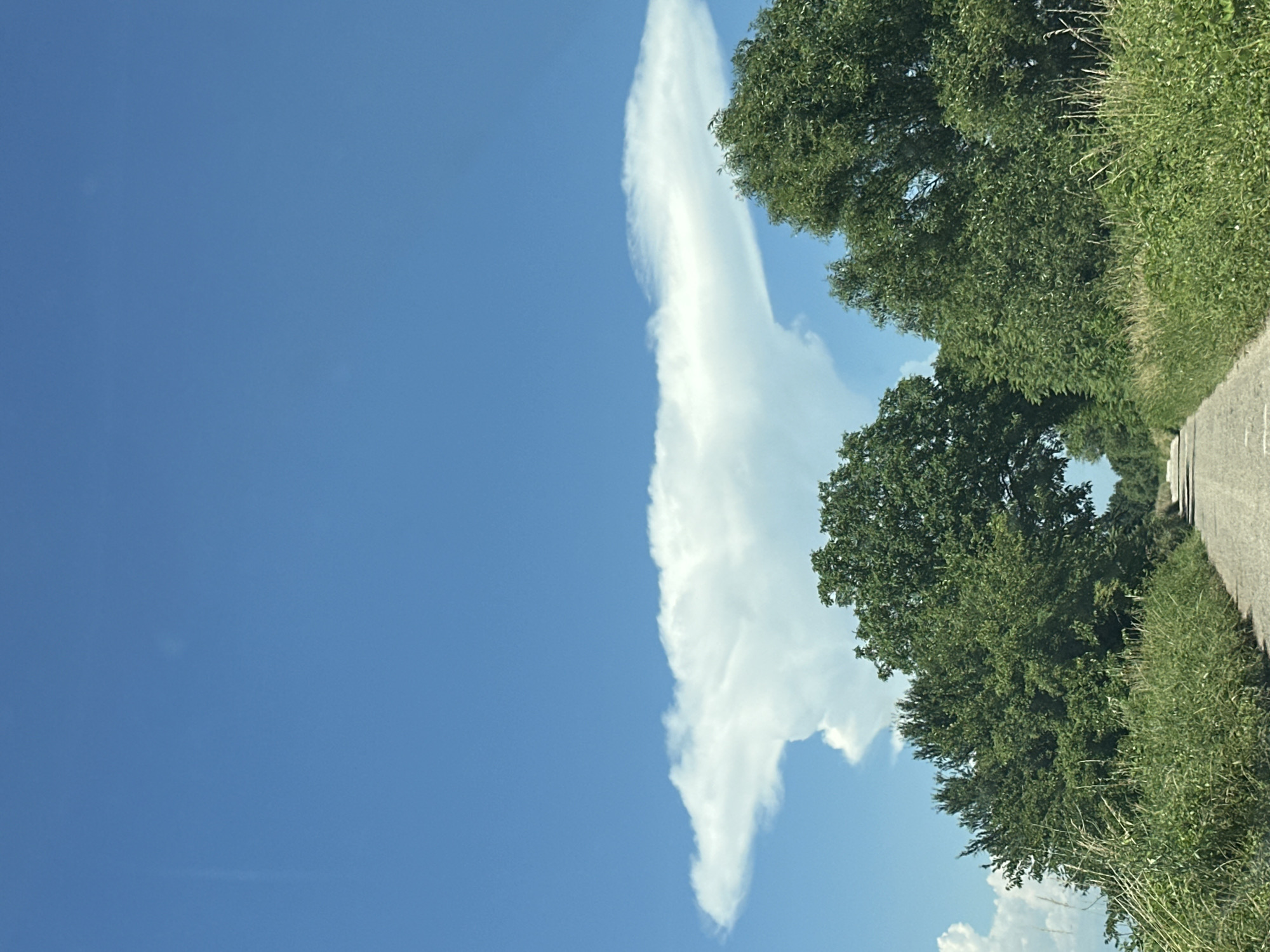 A dirt road runs through a rural landscape, bordered by lush green vegetation on either side. In the distance, the road curves slightly and disappears between the trees. Above the trees, a large, anvil-shaped cloud dominates the bright blue sky. The cloud's distinctive shape suggests a powerful weather system. The scene is serene and natural, with no people or man-made structures visible besides the road. The overall impression is one of vast open space and the raw beauty of nature, with a hint of dramatic weather on the horizon.