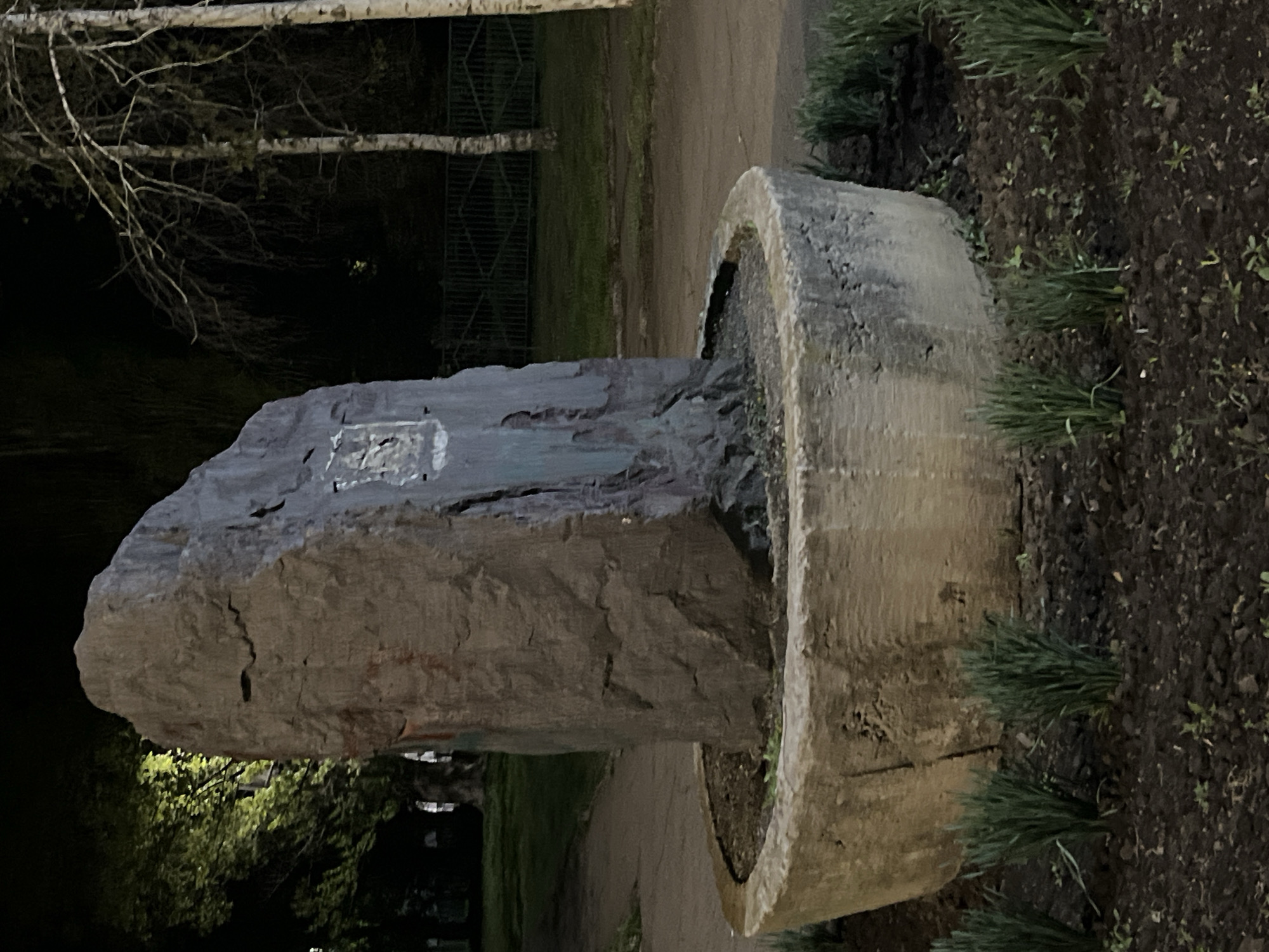 The media file presents a dark, nighttime scene of a monument or sculpture located in an outdoor public space, likely a park, in Kryvyi Rih, Ukraine.
The central subject is a tall, dark, and irregularly shaped pillar, possibly made of rough-hewn stone or concrete, standing upright. It is set upon a circular concrete base that contains dark soil and sparse patches of green grass. The pillar's surface shows various textures, cracks, and lighter patches, suggesting age or wear. A small, light-colored rectangular plaque or inscription is visible on the upper portion of the pillar; however, due to the low light and image resolution, any text or emblem on it is unreadable.
In the background to the left, the bare, light-colored branches of what appear to be birch trees are discernible against a very dark, indistinct background of foliage. Further back, a metal fence with a diamond pattern can be glimpsed. To the right and foreground of the monument, the ground is covered with dark soil, a dirt path, and clumps of green grass.
The scene is static, with no discernible activity or event taking place. The time of day is clearly night, characterized by the deep shadows and the way the monument is subtly illuminated, likely by nearby artificial light sources that are not visible in the frame. The overall atmosphere is quiet and still.