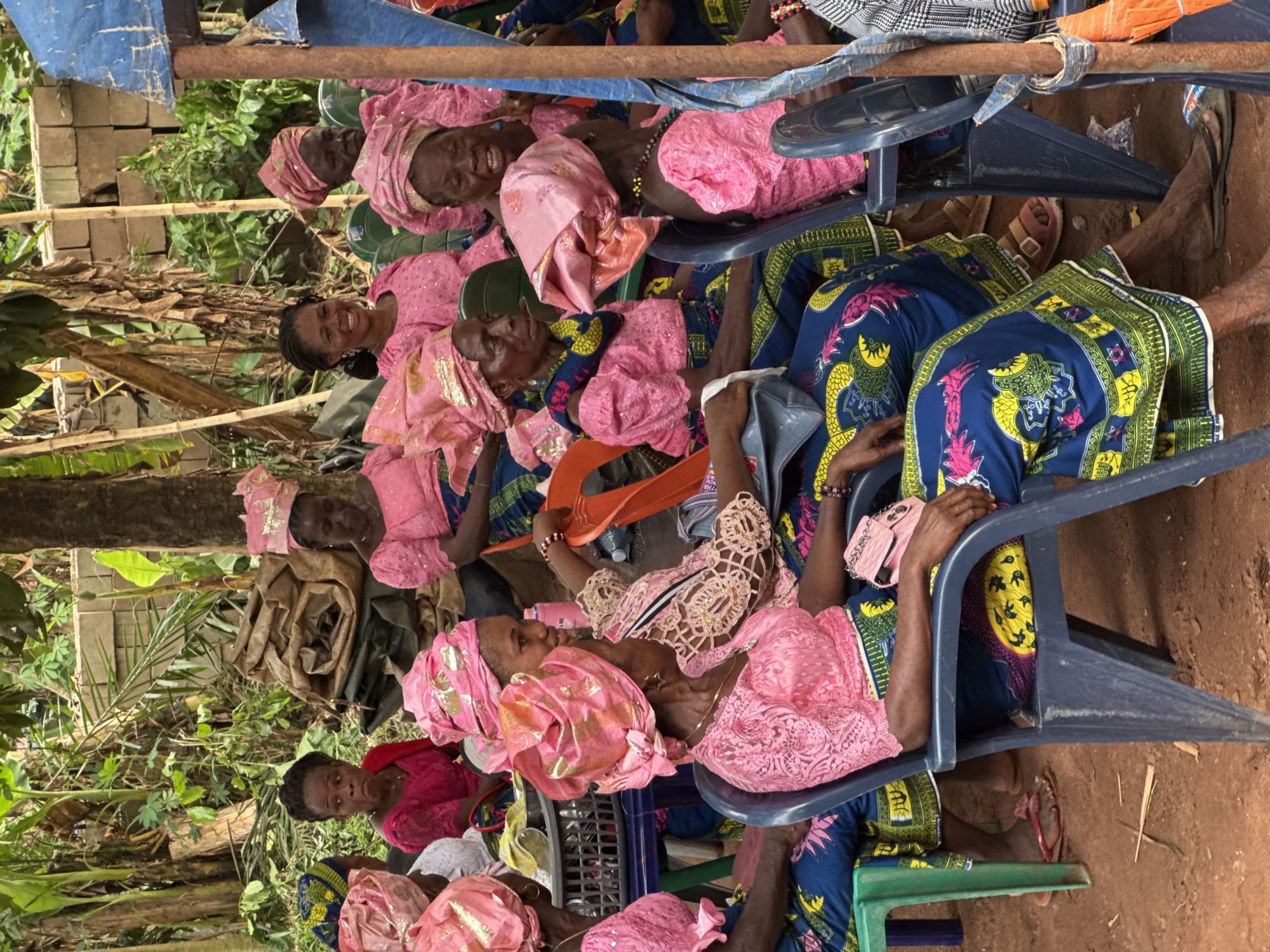 This image captures an outdoor gathering of numerous women, likely in Eziudo, Nigeria. The scene is vibrant, dominated by the colorful traditional attire worn by the attendees, most of whom appear to be middle-aged to elderly.
The women are seated closely together on an assortment of plastic chairs, including blue, green, and orange ones, arranged in rows. A striking feature of the image is their clothing: many wear matching ensembles consisting of bright pink head wraps (geles), some adorned with golden accents or intricate folds, paired with pink tops. These tops vary in design, with some featuring delicate lace patterns and others being a solid fabric. These pink garments are often combined with long skirts or wrappers made of a deep blue fabric patterned with vivid yellow and green motifs, possibly depicting stylized animals or abstract designs. Some women are seen wearing colorful beaded bracelets or necklaces. One woman holds a pink item, which might be a small bag or a face mask.
The atmosphere appears social and positive, with many women smiling and engaging in conversation. Their expressions generally convey happiness and communal spirit. The setting is outdoors, with a visible dirt ground. The background is rich with natural vegetation, including large green leaves and various plants, suggesting a lush, perhaps rural or semi-rural, environment. Elements like stacked concrete bricks and wooden planks are also visible in the background. Overhead, a makeshift structure, possibly a canopy or tent, is suggested by a blue tarp and supporting metal or wooden beams, providing shade for the gathering.
The natural light indicates that the event is taking place during the daytime, likely in the late morning or afternoon. The overall impression is that of a warm, communal outdoor event. No discernible text is visible within the image.