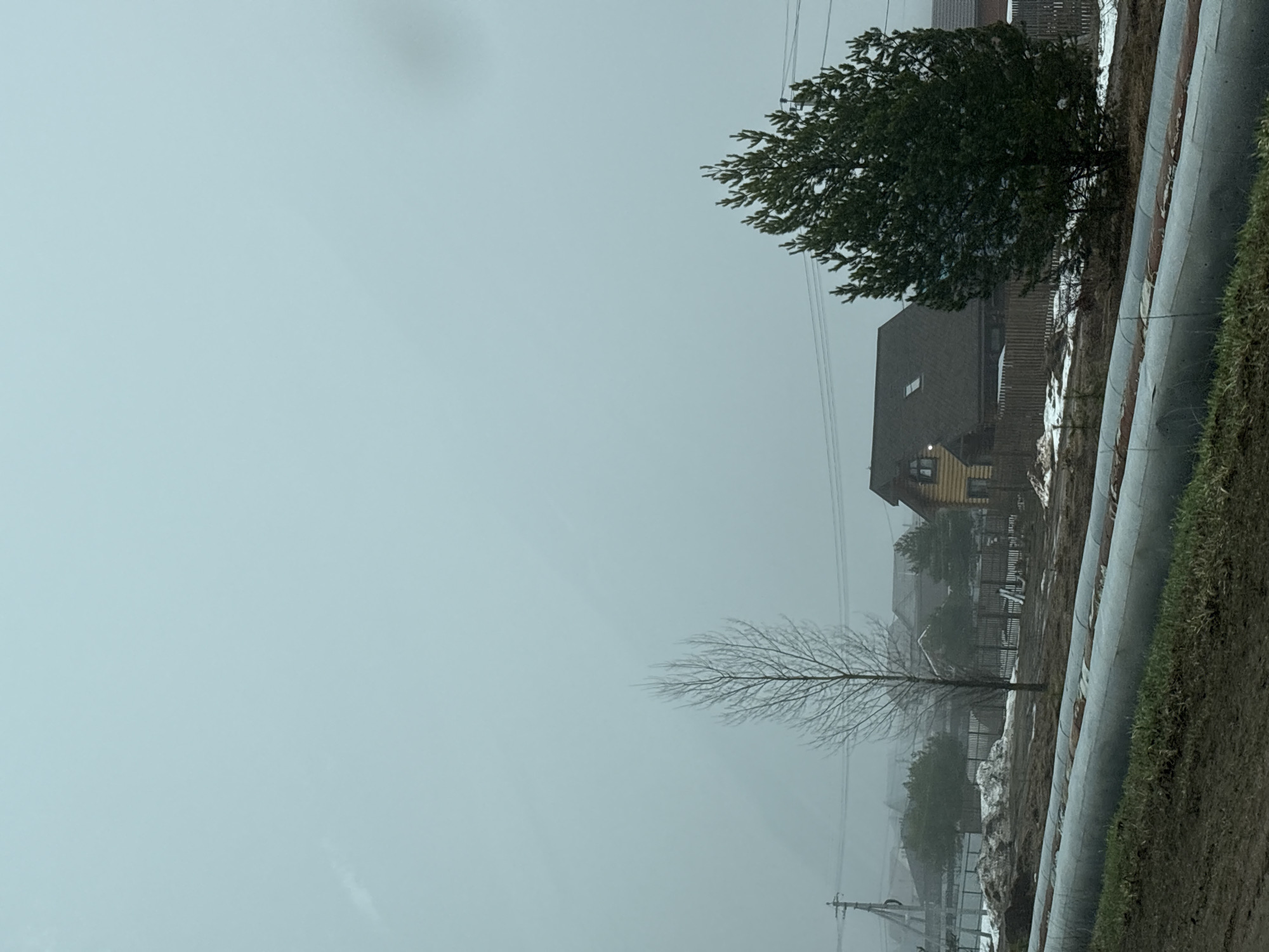 The image depicts a view of a residential area under an overcast sky, potentially in the city of Прикамский, Russia. There are several houses visible, some partially obscured by trees and the foggy atmosphere. Snow is present on the ground and rooftops. In the foreground, there's a row of cylindrical structures, possibly pipes or a similar utility infrastructure, alongside some vegetation and muddy ground. A leafless tree stands prominently in the middle ground. Power lines are also visible in the background.