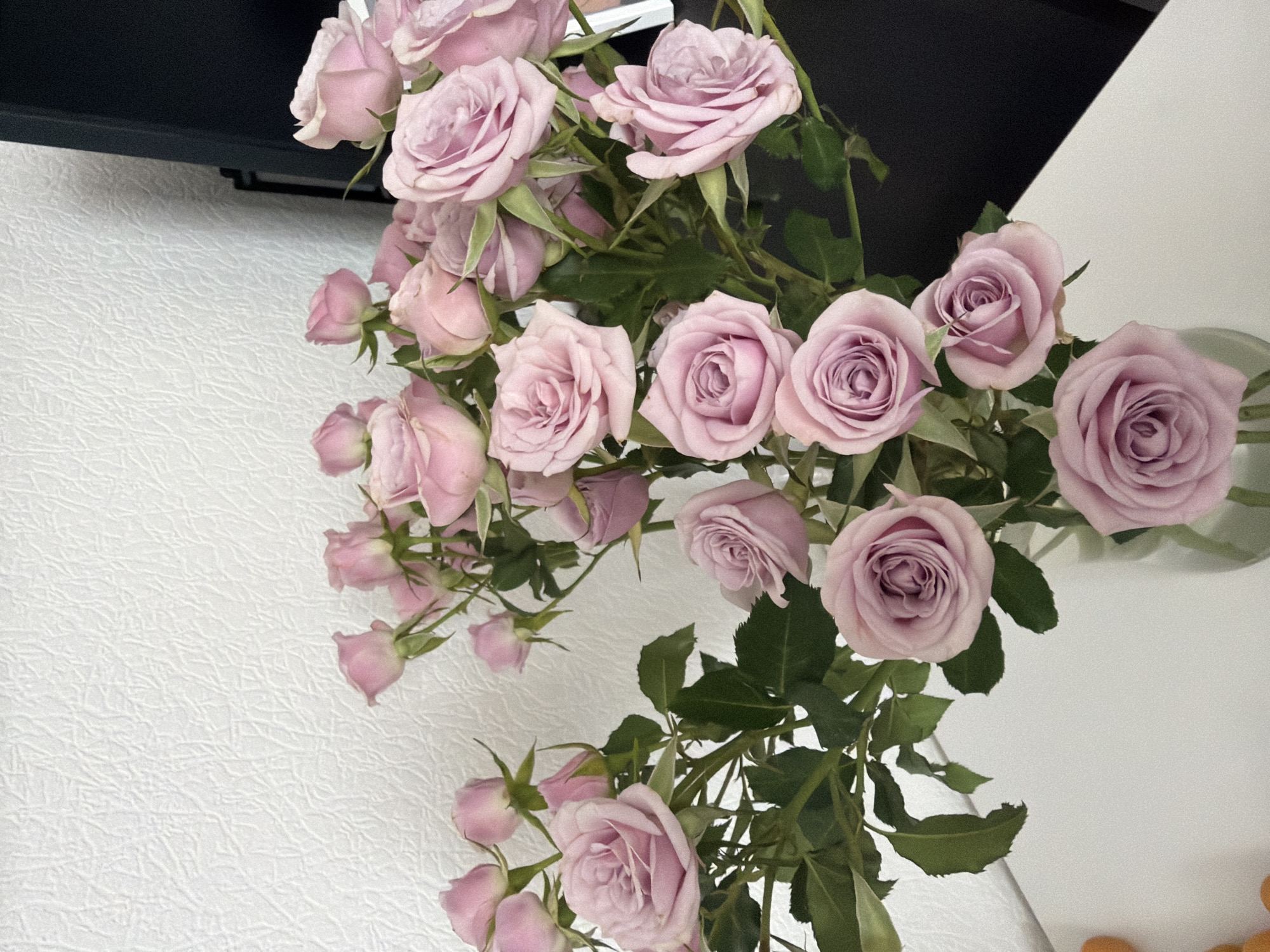 A bouquet of light pink roses is arranged in a glass vase. The roses are predominantly in full bloom with some buds. The background features a white textured wall and a dark surface. The scene is indoors.