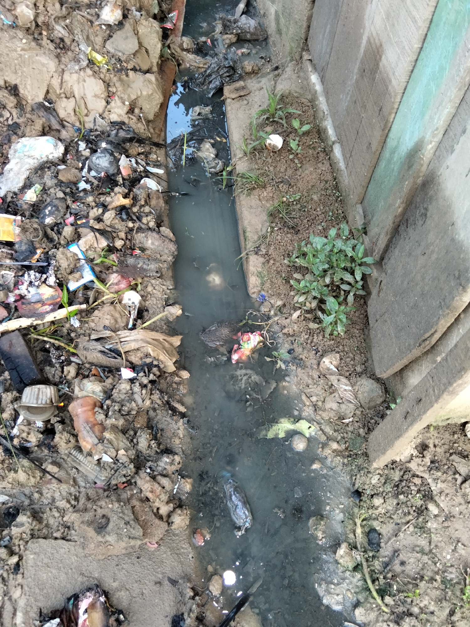 The image depicts a polluted ditch running alongside a wooden fence in Benuaraja, Indonesia. The ditch is filled with murky water and debris, including plastic waste, food scraps, and other refuse. The surrounding area is also littered with trash and mud. There are no people or animals visible in the image. The overall scene suggests a neglect of sanitation and environmental cleanliness.