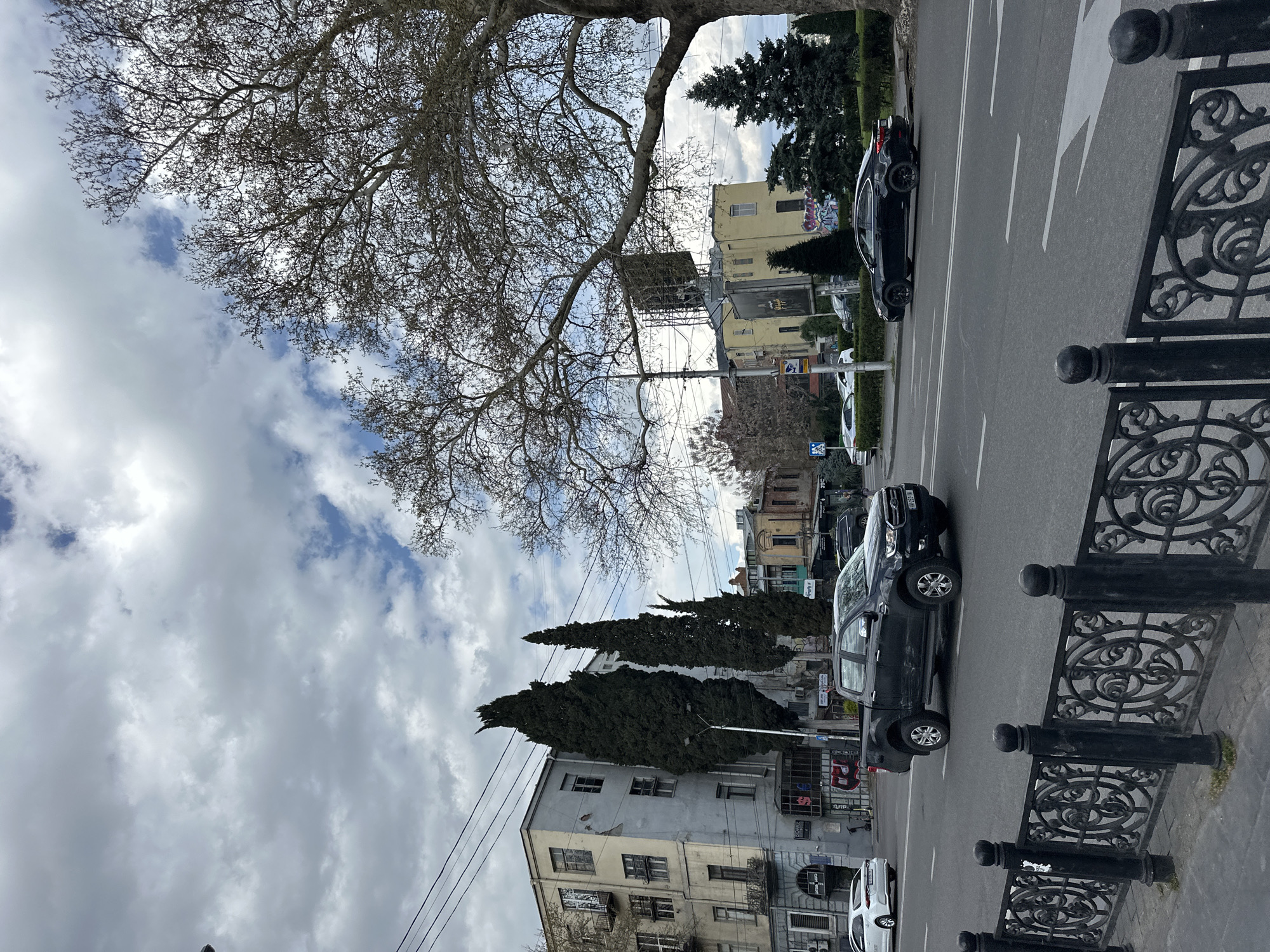 The image shows a street scene in Tbilisi, Georgia. The view is of a street lined with buildings of varying heights and architectural styles. There is a tall, bare tree on the left side of the image, and a cloudy sky. Cars are parked or driving along the road. A decorative black metal fence runs along the right side of the frame.
