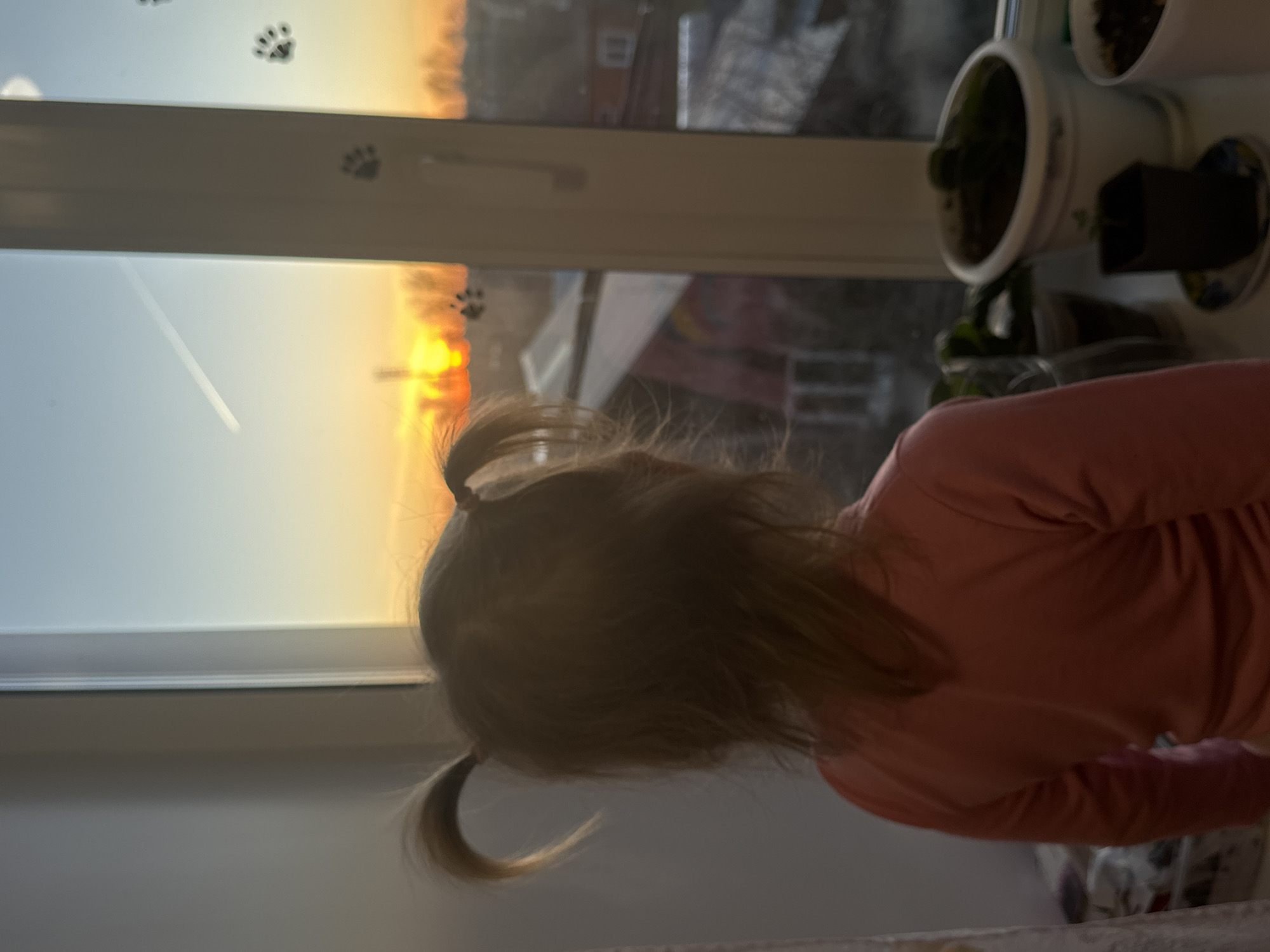 A child with blonde hair in pigtails, wearing a pink shirt, looks out a window. The window faces a residential area during what appears to be a sunset or sunrise, with a contrail visible in the sky. Decorative paw prints are on the window frame. Several potted plants are arranged on the windowsill. The location is Фоки, Russia.