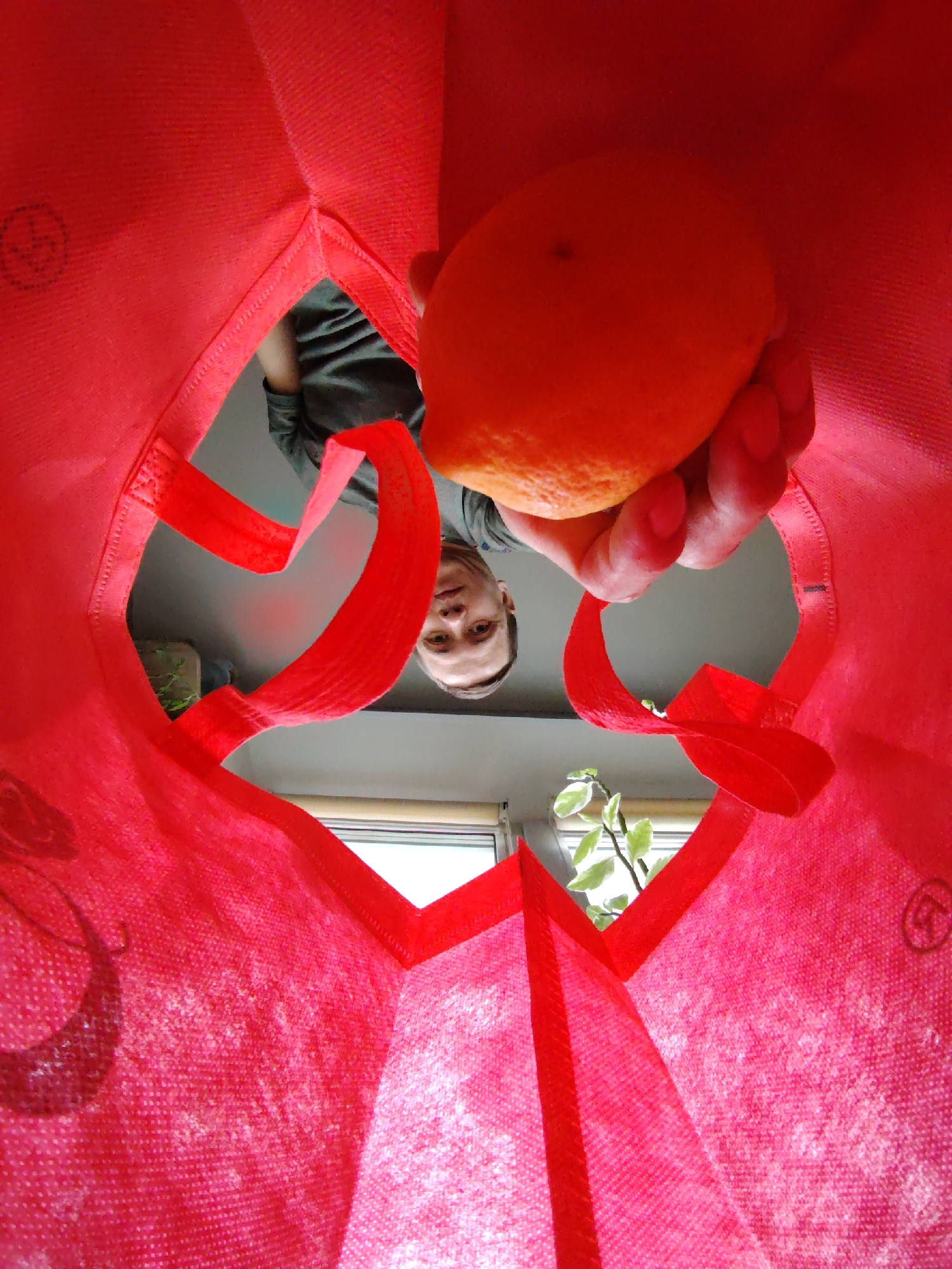 A person is looking down into a red reusable shopping bag while holding an orange in their hand. The view is from inside the bag, looking upwards. Through the opening of the bag, part of the person's face and upper torso are visible. A window and a plant are also visible in the background. The location cannot be determined from the image.