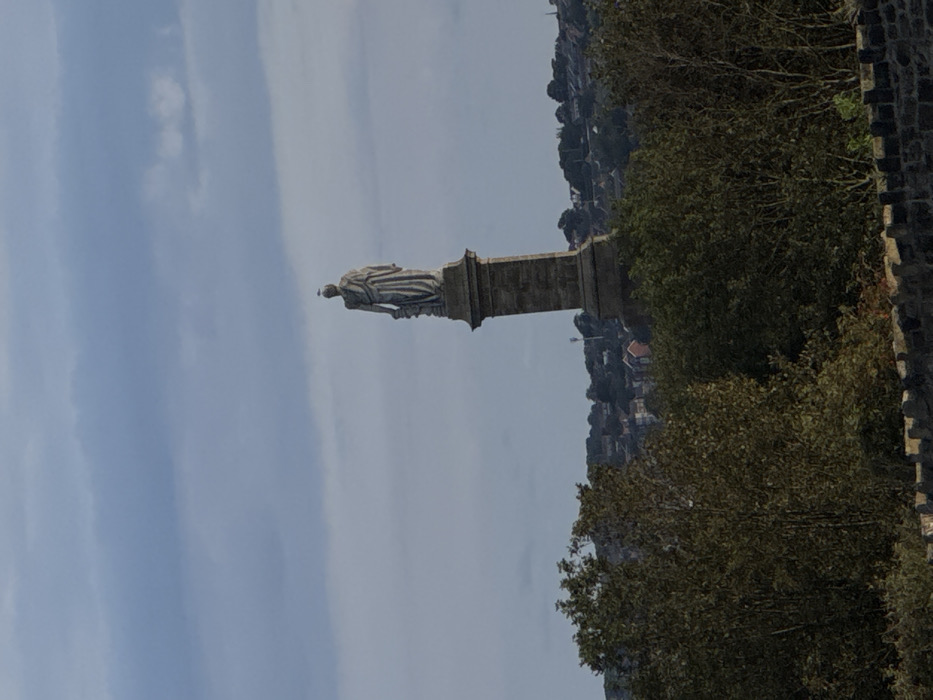A daytime, elevated exterior photograph captures the Duke of Wellington Monument in Tynemouth, North Tyneside, United Kingdom. The central subject is a tall, grey stone statue depicting a robed figure, standing atop a robust, multi-tiered rectangular stone plinth. A small, light-colored bird is perched directly on the apex of the statue's head. The lower foreground features a dark, rough-hewn stone wall, behind which dense, dark green trees and foliage obscure the base of the monument and extend across the bottom third of the frame. In the mid-ground, behind and to the sides of the monument, a residential cityscape unfolds across a distant hillside, characterized by numerous houses with varying rooftops. A thin, vertical structure, possibly a telecommunication mast, is faintly visible among the distant buildings. The background consists of an overcast sky, dominated by shades of grey and muted blue clouds, providing diffused natural light to the entire scene.