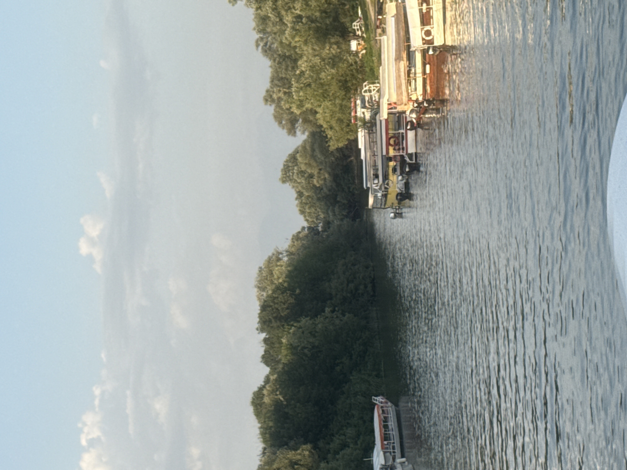 The image captures a serene scene on a calm river, likely in Virpazar, Montenegro, with lush green trees lining the banks on both sides. Several boats are docked along the right bank, their reflections shimmering on the water's surface. One boat on the left bank, a longer vessel with a covered seating area, is also visible. The sky above is a soft blue with scattered white clouds, suggesting it could be late afternoon or early morning. The water itself is a deep, tranquil blue, with gentle ripples indicating minimal current. No people are clearly discernible in the image, and the atmosphere appears peaceful and undisturbed.