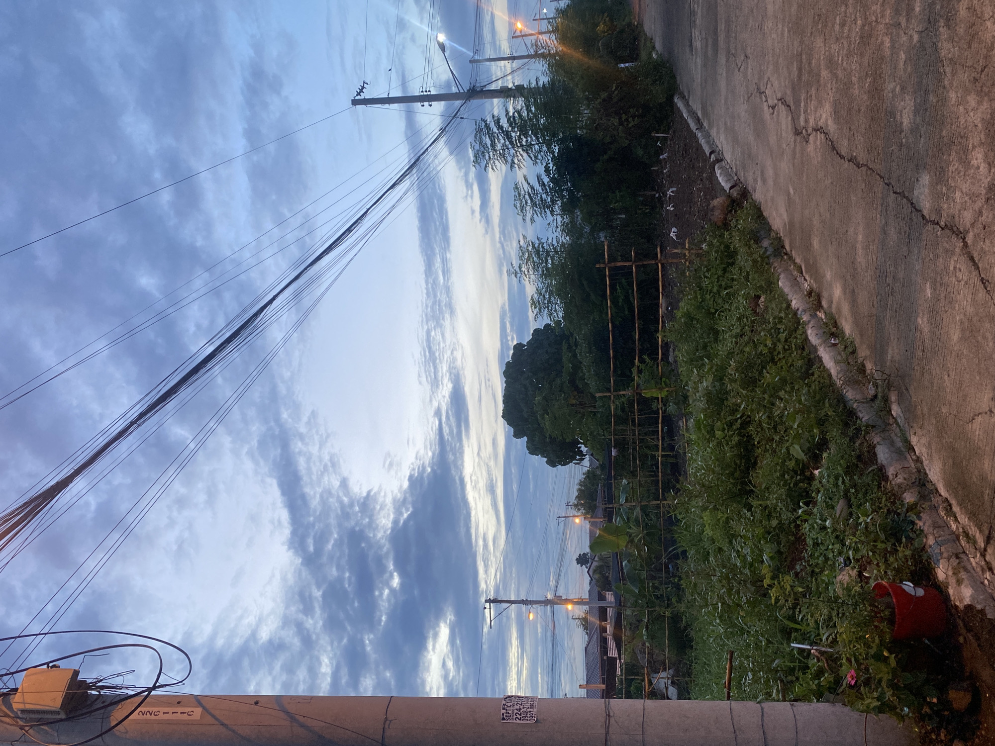 This image depicts an outdoor scene, likely in Davao City, Philippines, during what appears to be dawn or dusk, given the soft, diffused lighting and the cloudy sky.
In the foreground, a gray utility pole stands on the left, with various wires and a small electrical box attached to it. A label reading "2261116" is affixed to the pole. Adjacent to the pole, to the right, is a patch of lush green vegetation and a red bucket. A concrete sidewalk or road is visible, with some cracks and visible texture, curving away into the distance on the right side of the frame.
Beyond the foreground vegetation, there is a fenced area, possibly a garden or a small farm, with a bamboo fence and various plants. Further back, several trees of varying heights are present, including a large, dense tree in the middle ground and a line of thinner, taller trees on the right. In the background, glimpses of houses with roofs are visible, suggesting a residential area.
Electrical wires crisscross the sky, supported by utility poles. Streetlights are also visible, with some illuminated, indicating the presence of infrastructure. The sky is filled with a mix of light and dark clouds, creating a serene and somewhat dramatic atmosphere. No people are visible in the image. The overall environment suggests a semi-urban or suburban setting with pockets of greenery.