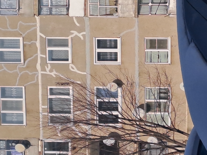 An exterior image captures a section of a multi-story residential building located in Bolshaya Elhovka, Russia, under clear daylight conditions. The building facade is a light beige or tan color, characterized by numerous white-framed windows, many of which are fitted with various curtains or blinds. Several small, circular satellite dishes are mounted directly onto the building's exterior. Prominent white, wavy lines, indicative of crack repairs or sealant application, are visible across the facade, alongside horizontal gray bands possibly marking structural joints. A leafless deciduous tree with a dense network of bare branches partially obscures the left side of the building. The lower foreground shows the dark blue roof and a portion of the windshield of a parked vehicle. No individuals or specific actions are discernible.