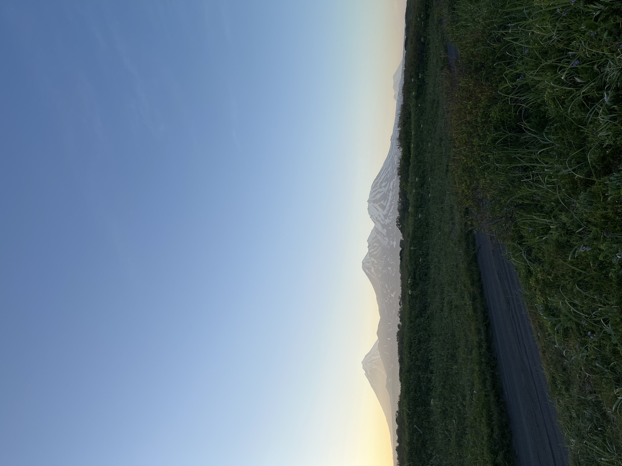 The image depicts a panoramic view of snow-capped volcanoes in the distance, viewed from a grassy field with a dirt road. The sky is clear and blue, transitioning to a soft yellow and orange hue near the horizon, indicating either sunrise or sunset. The foreground consists of lush green grass and some scattered purple wildflowers. In the mid-ground, the terrain rises slightly, with more dense vegetation. The majestic volcanoes dominate the background, their peaks dusted with snow against the pale sky. The scene suggests a natural, remote landscape, likely within the Kamchatka Peninsula, known for its volcanic activity and rugged beauty. The location is implied to be near Petropavlovsk-Kamchatskiy, Russia, a region renowned for its stunning volcanic vistas.